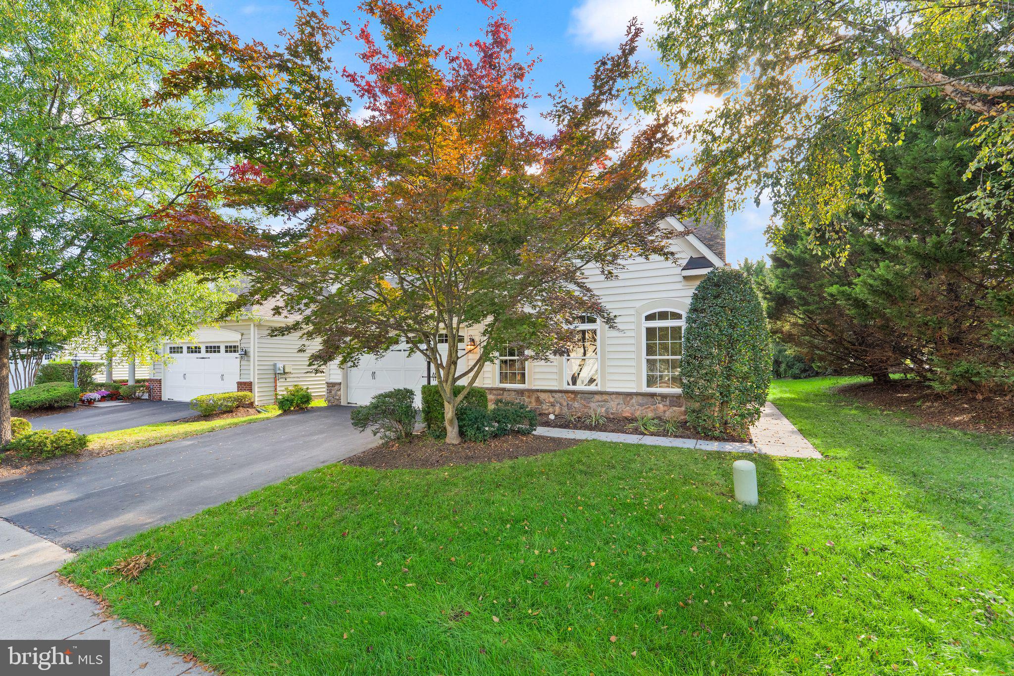 44513 BLUERIDGE MEADOWS DRIVE