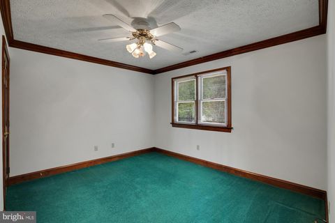 listing image 49