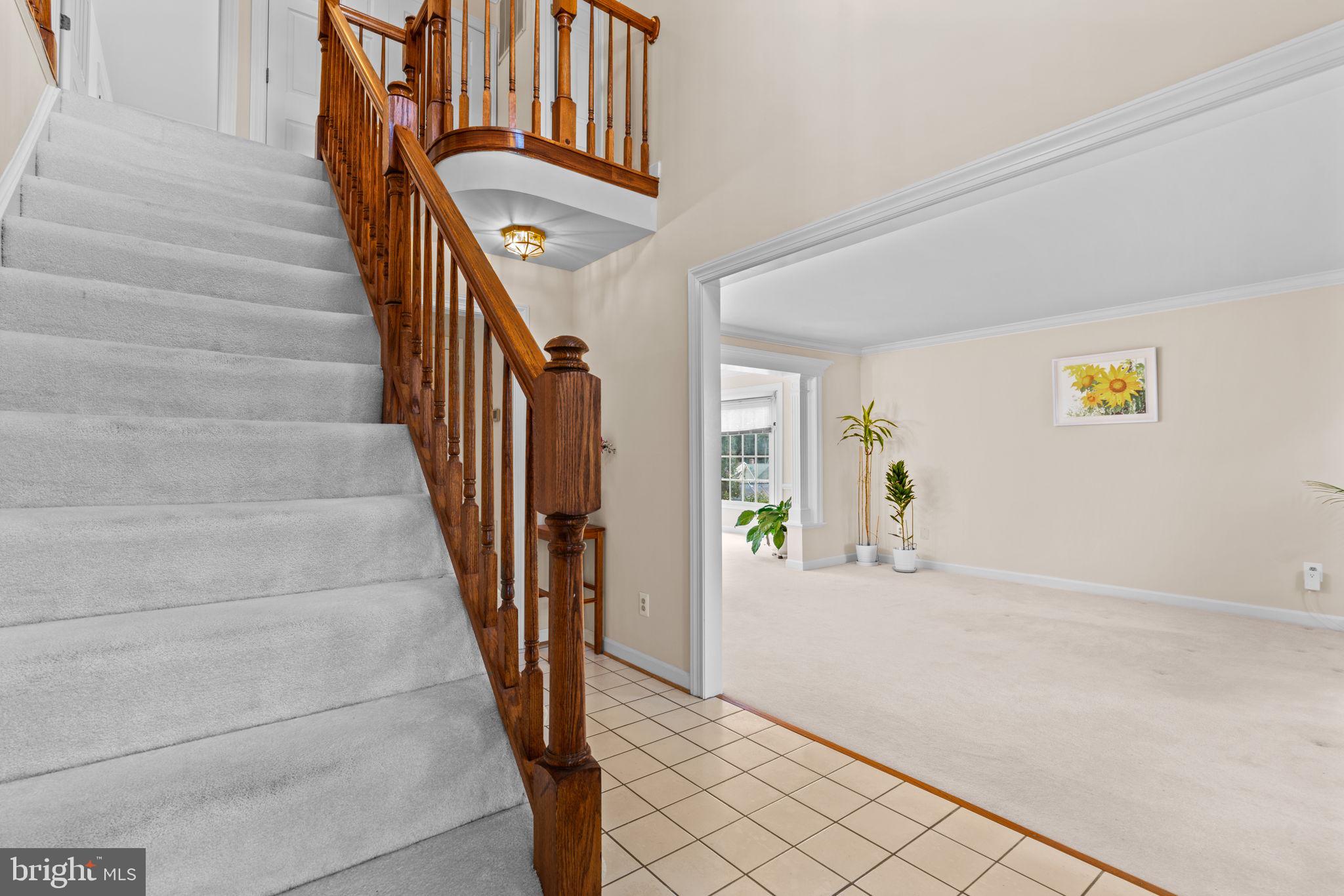 SADDLE CREEK - Residential