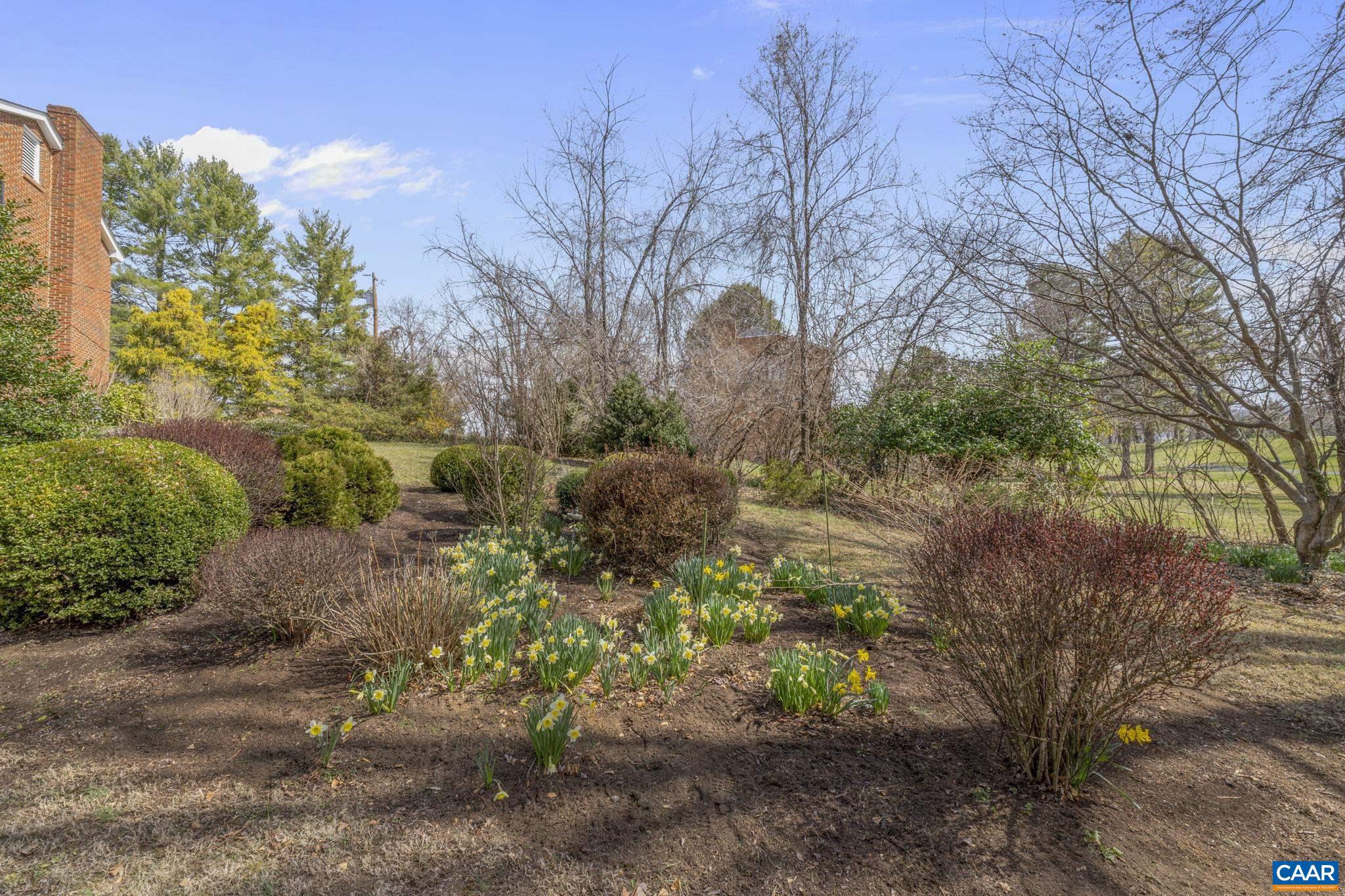 BRANDON FARMS - Residential