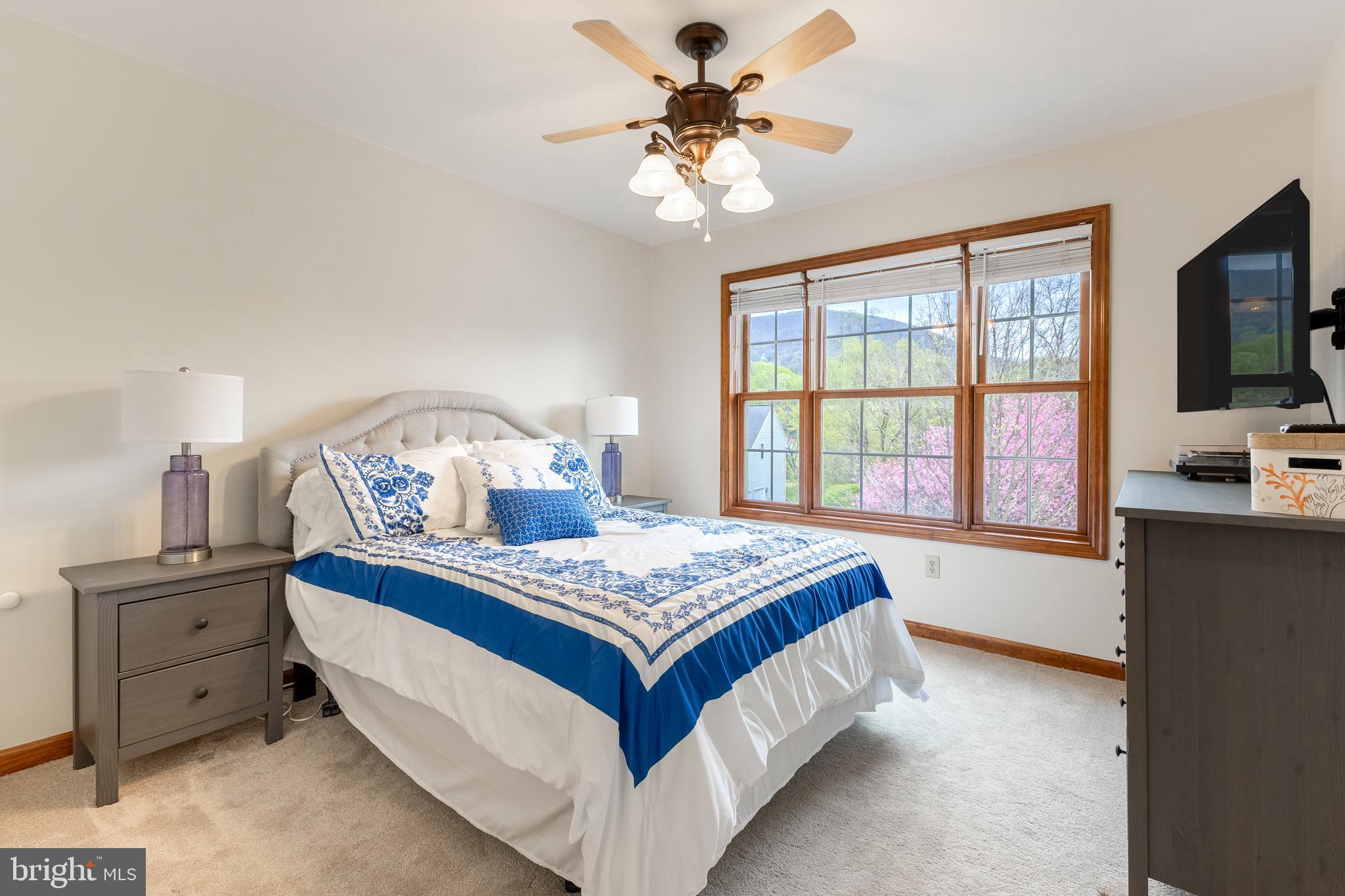 BARNBRIDGE - Residential