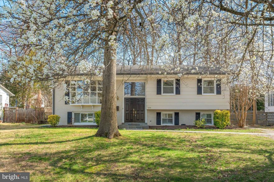 Welcome to this cozy, updated home in the Collingwood on the Potomac neighborhood – a spot that’s all about location and comfort, plus it's in the Waynewood Elementary School district! The home is spacious, with 2504 sq ft spread over two floors, featuring 4 bedrooms and 3 full baths.

The heart of the home is the revamped eat-in kitchen; it features stainless steel appliances and granite counters. The living room is super bright and airy, thanks to a big bay window that lets in loads of sunlight. There’s also a dining room that opens up to the family room, leading out to a big deck and backyard – perfect for BBQs and outdoor fun.

Downstairs, there’s a large bedroom with built-ins plus a family room with a cozy wood-burning fireplace, a workshop/craft room for your projects, and lots of extra storage space. Close to the Mt Vernon Trail, Old Town, Fort Belvoir, and D.C., plus it’s an easy walk to the trail and local shops at Hollin Hall. It’s a great mix of comfort, space, and convenience – ideal for making it your new home sweet home!