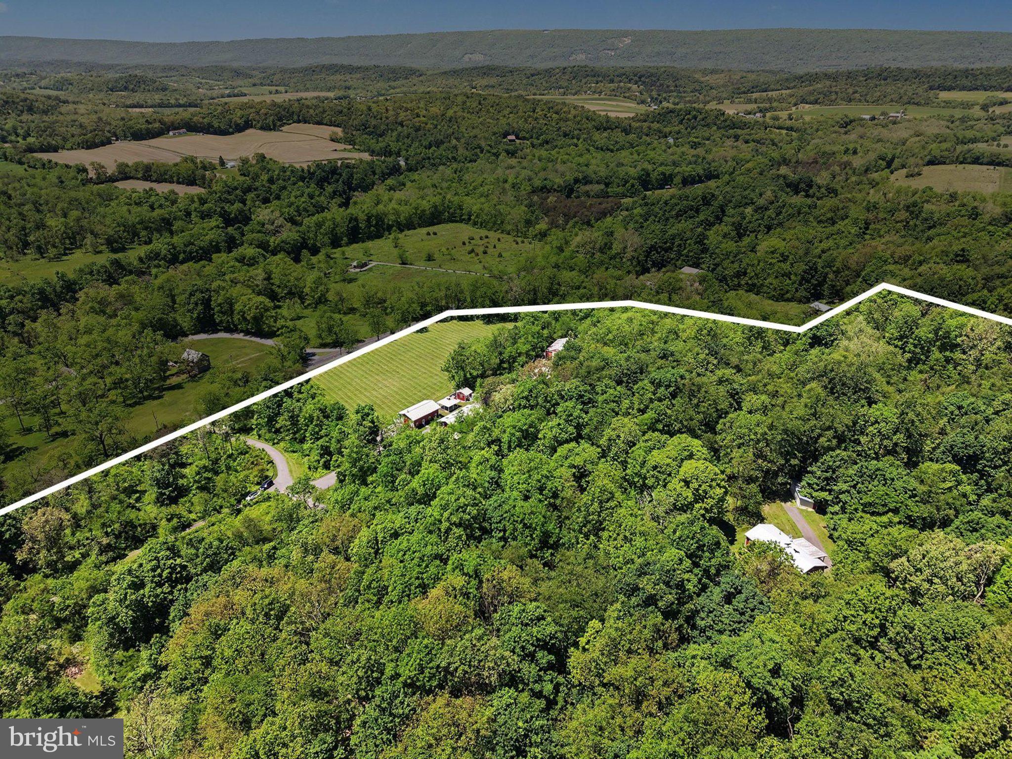 1339 SPRUCE HILL ROAD