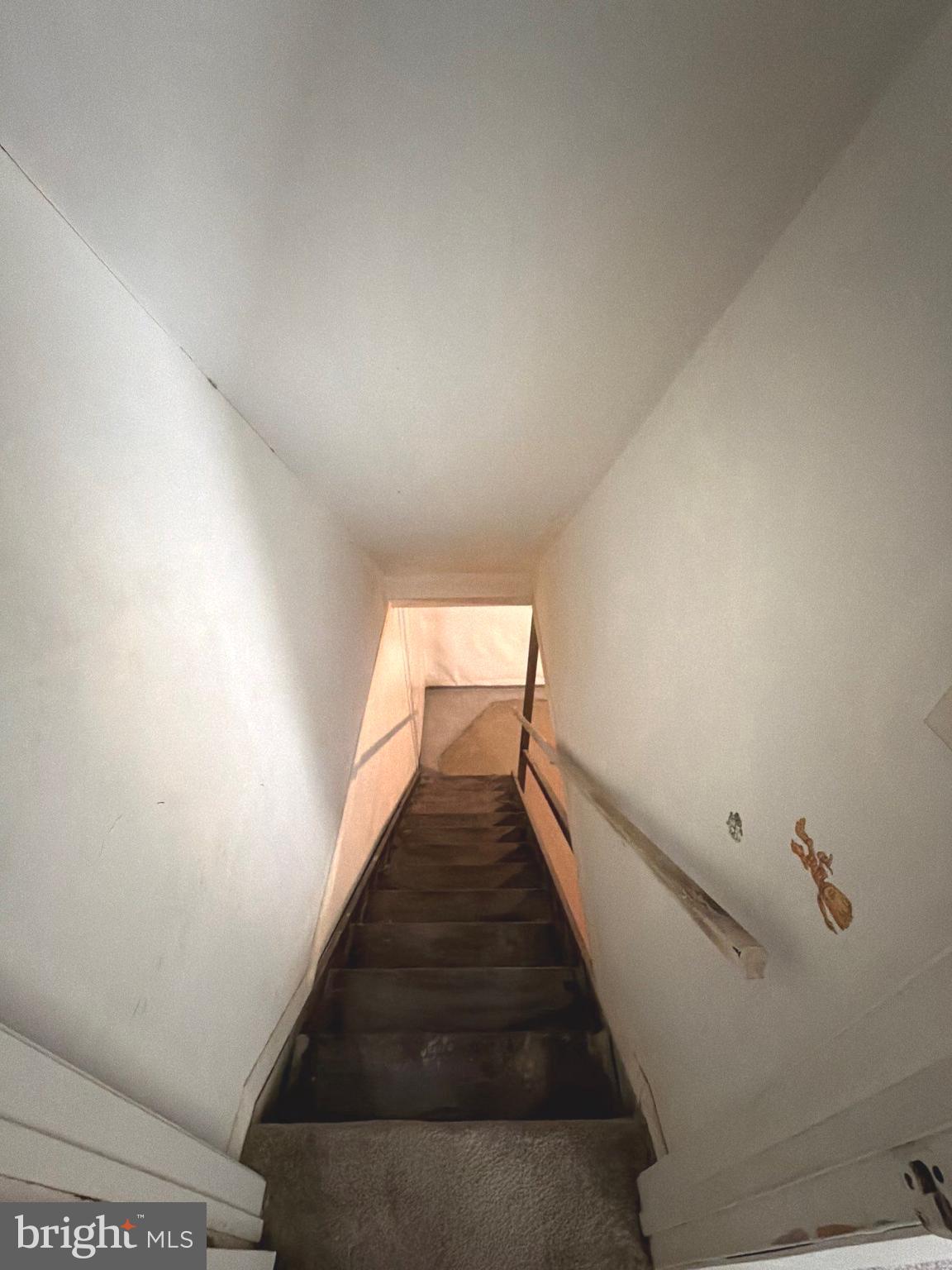 ELVATON TOWNE CONDO - Residential