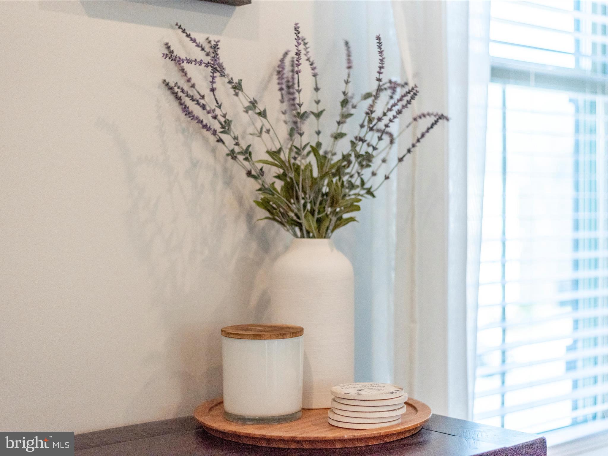 LAKE LINGANORE TOWN CENTER - Residential