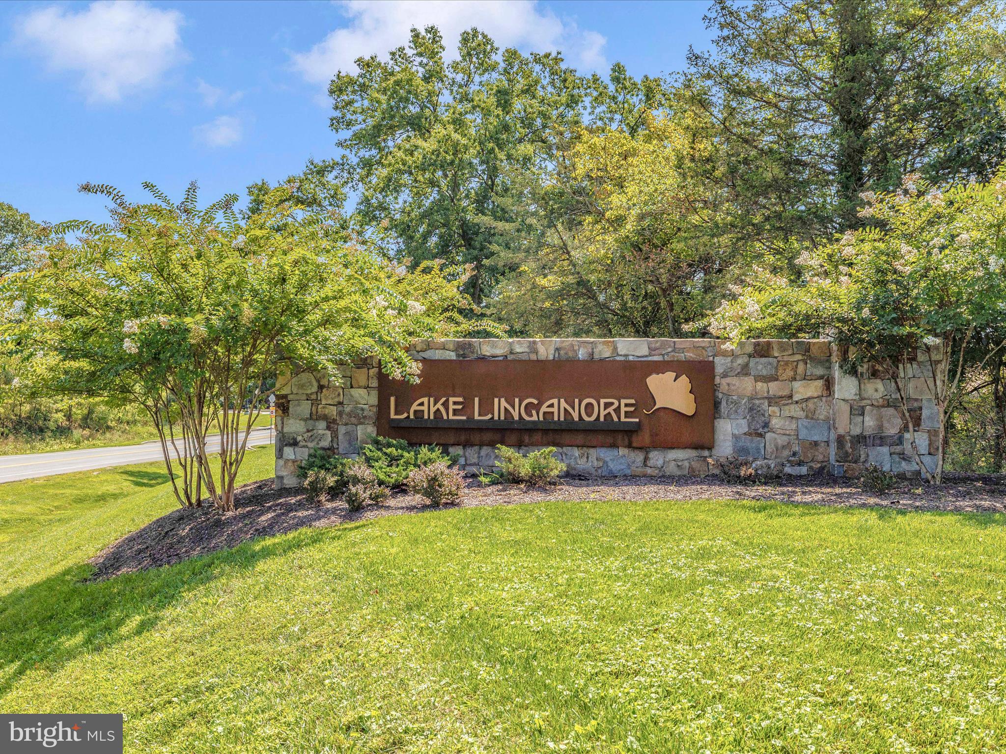 LAKE LINGANORE TOWN CENTER - Residential