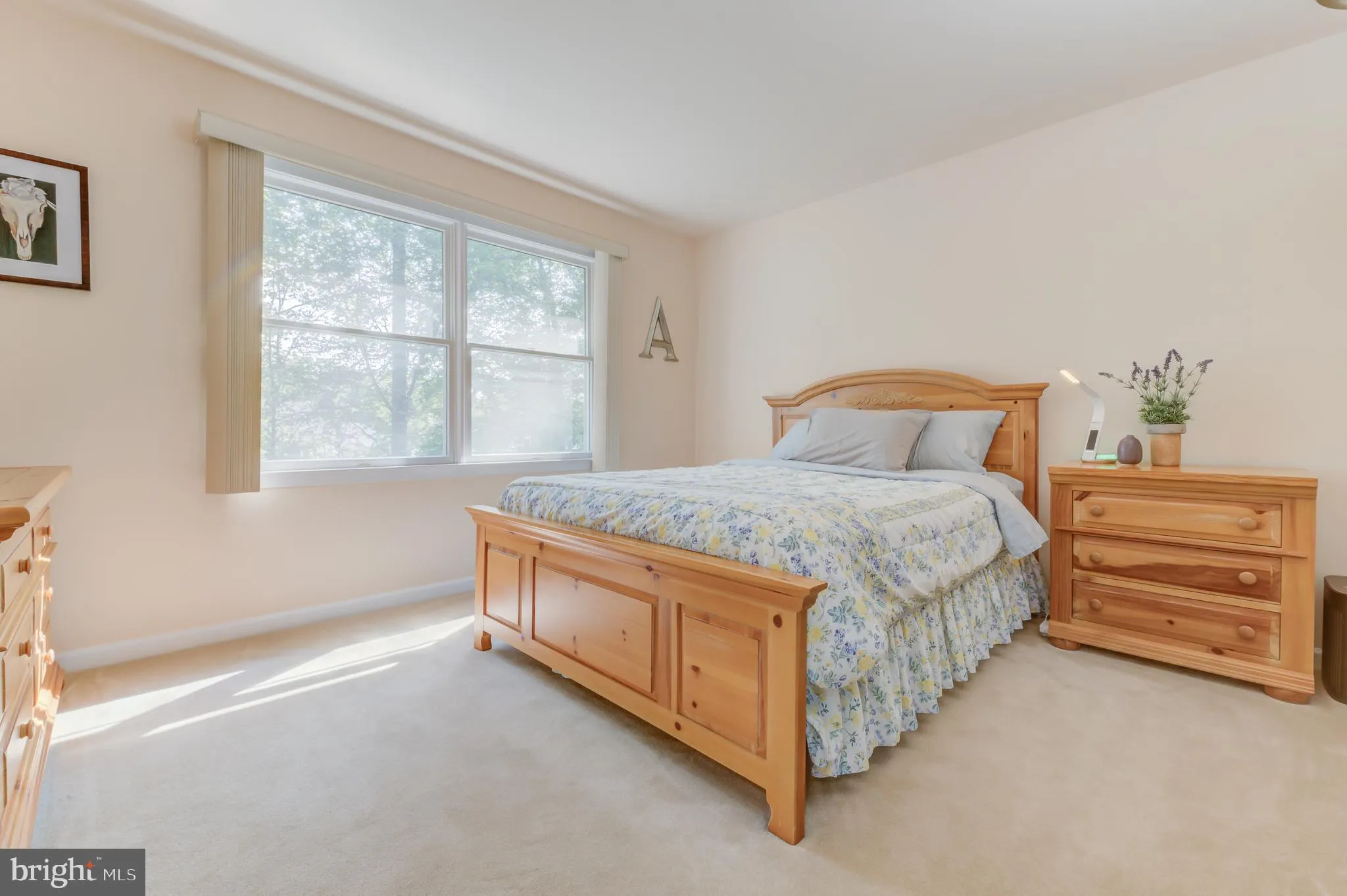 Princeton, New Jersey 08540, United States, 5 Bedrooms Bedrooms, ,3 BathroomsBathrooms,Residential,Contingent,216402