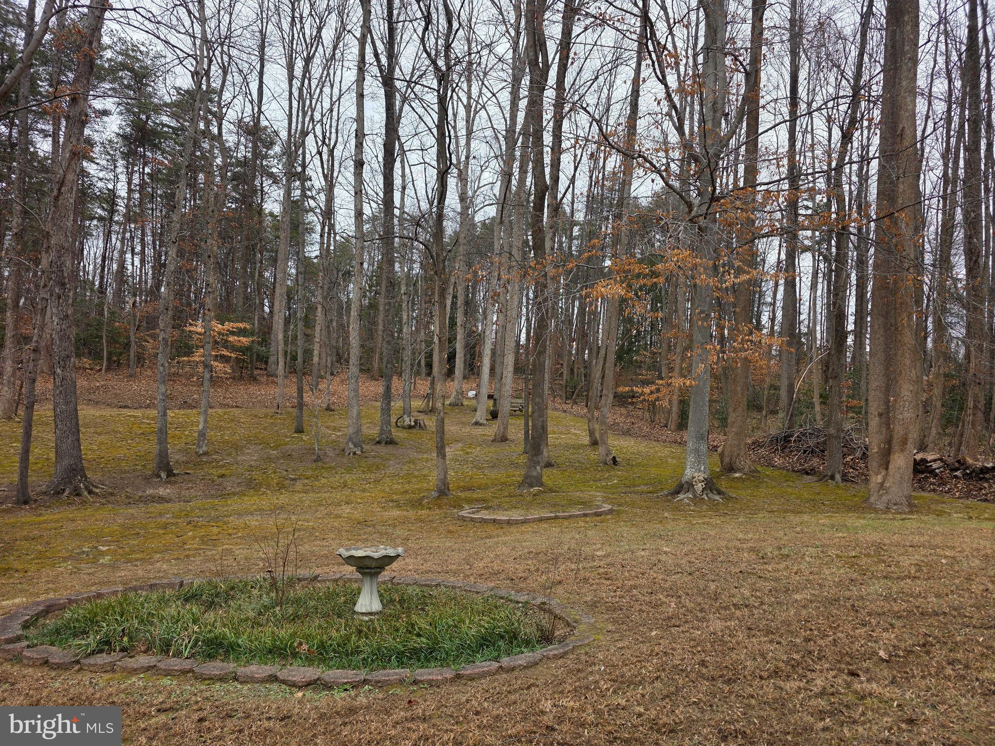 CARDINAL FOREST - Residential