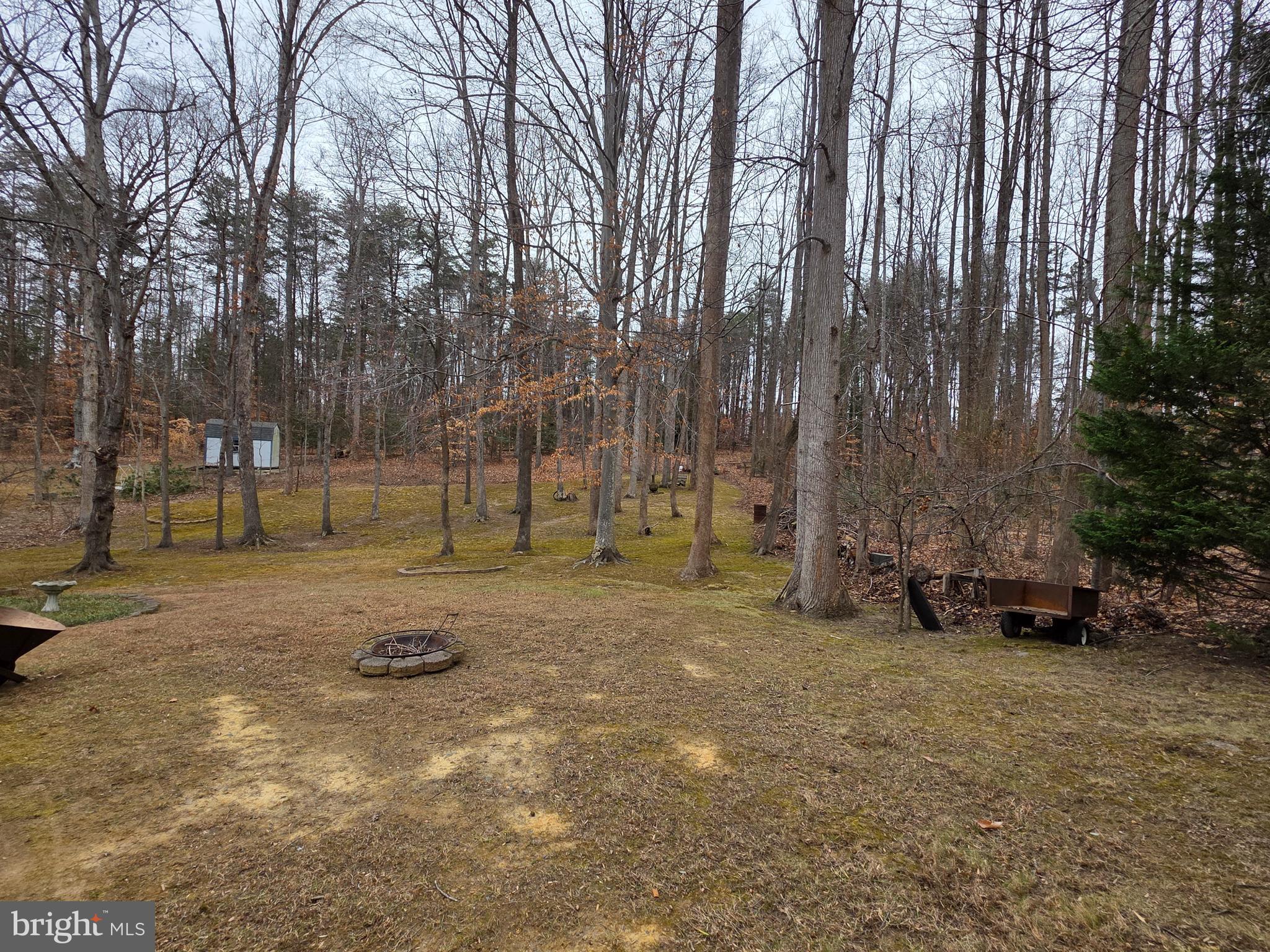 CARDINAL FOREST - Residential