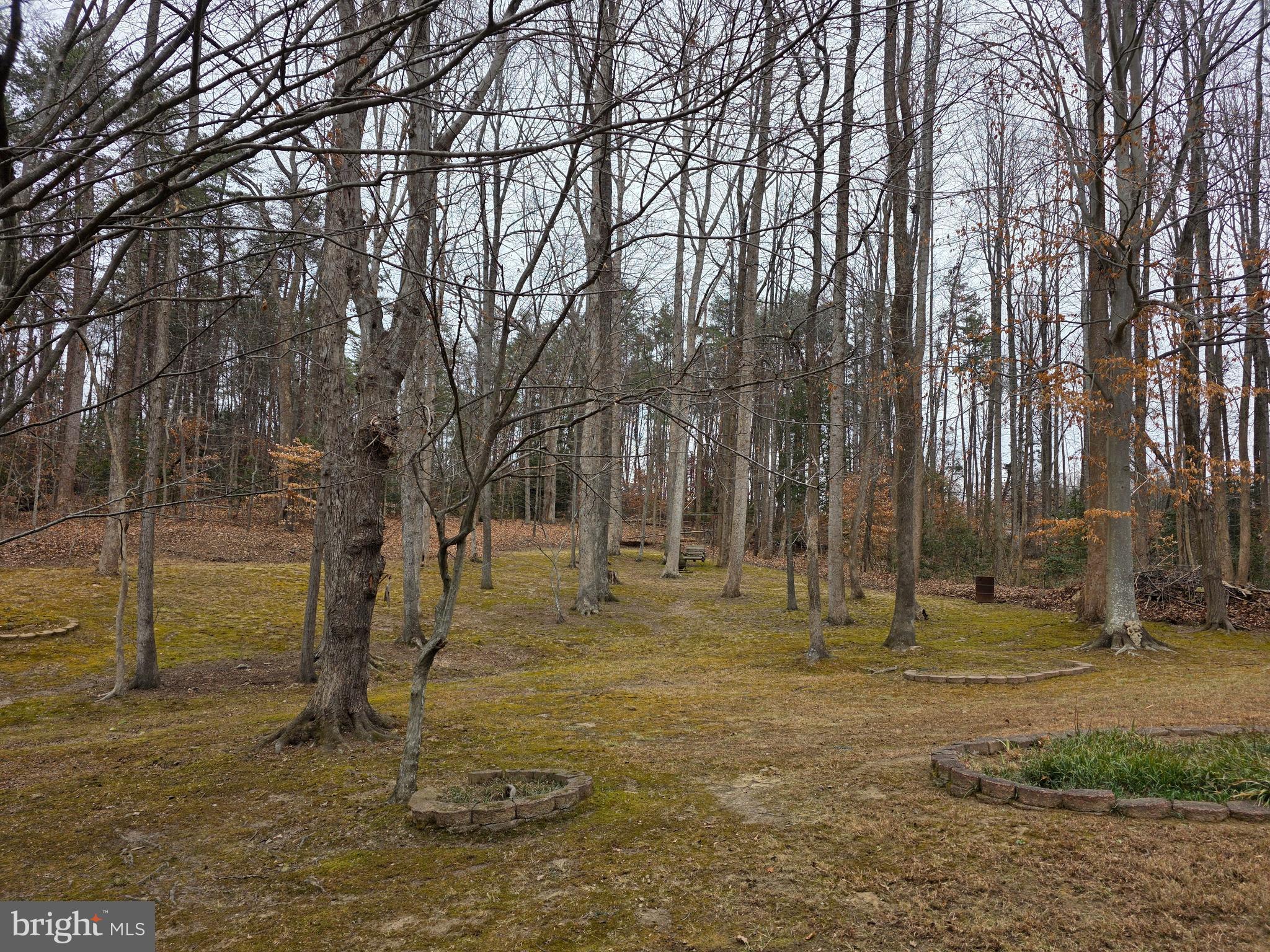 CARDINAL FOREST - Residential