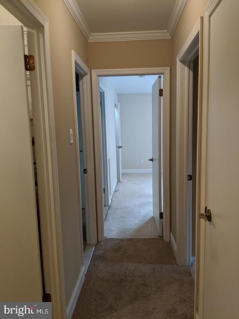 CHESTNUT GROVE - Residential Lease