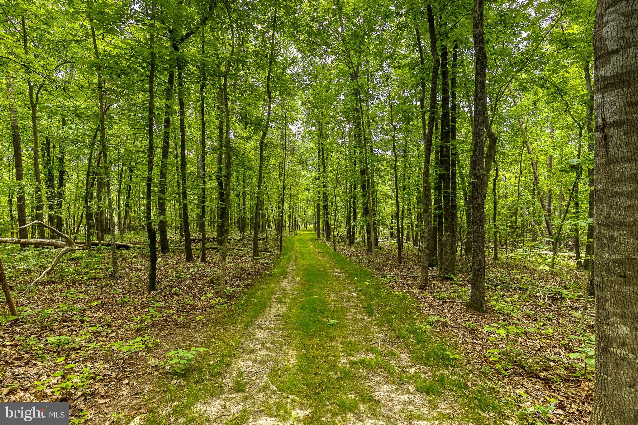 SADDLE RIDGE FARMS - Residential