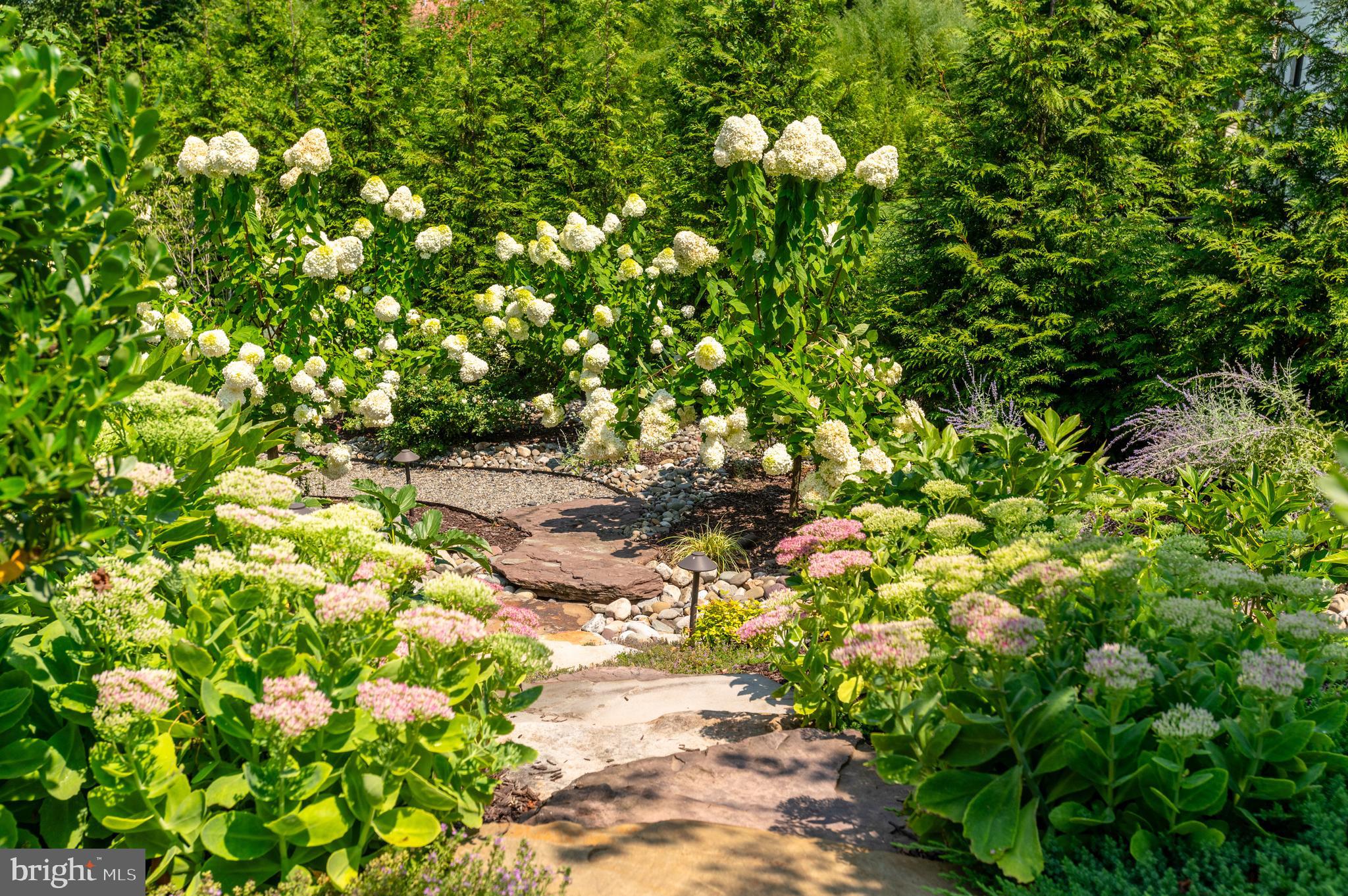 POTOMAC VILLAGE - Residential