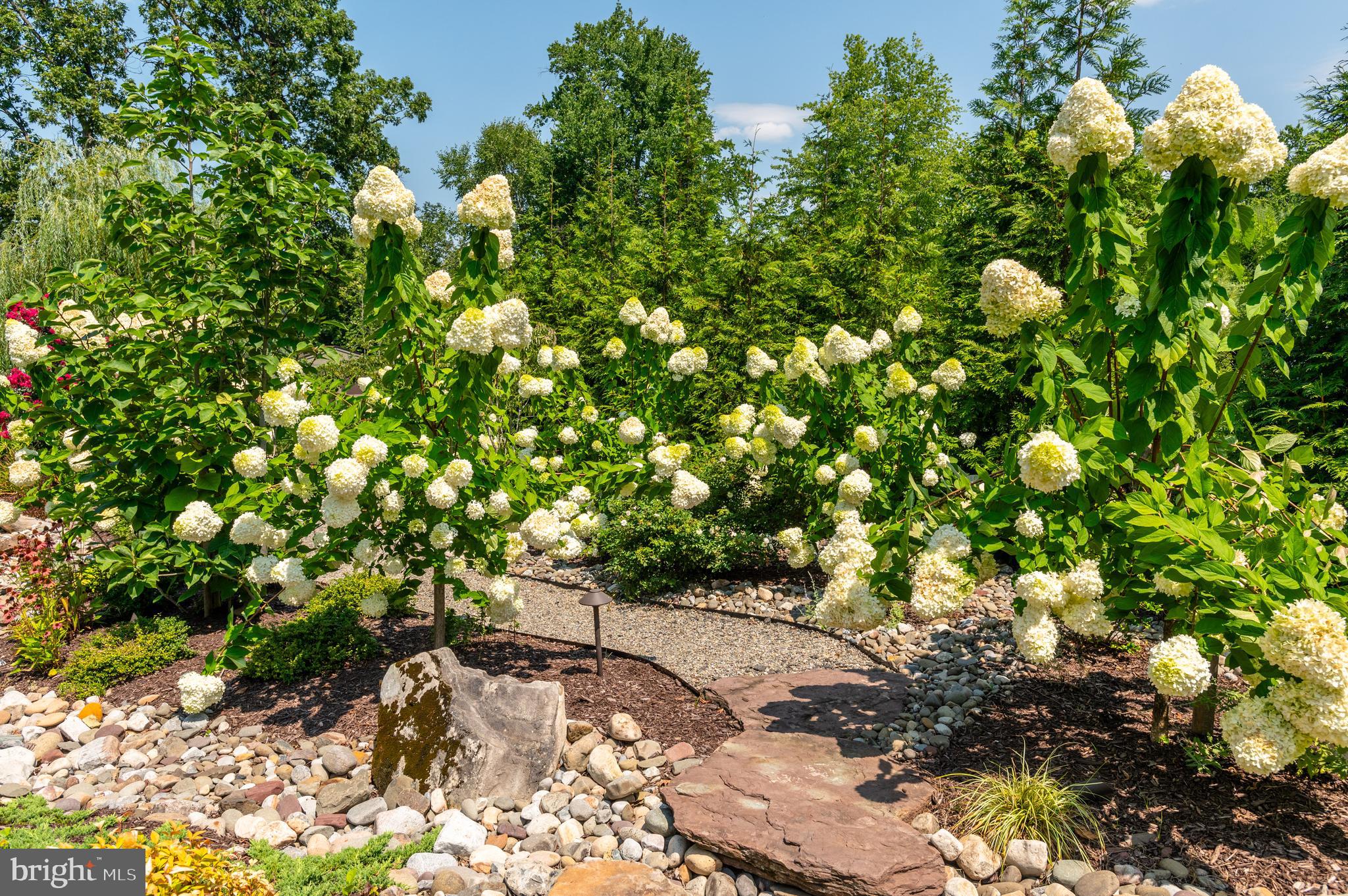 POTOMAC VILLAGE - Residential