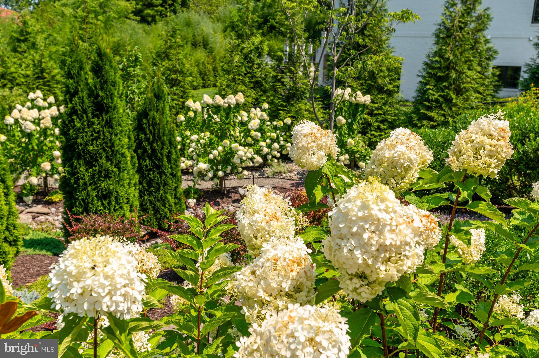 POTOMAC VILLAGE - Residential