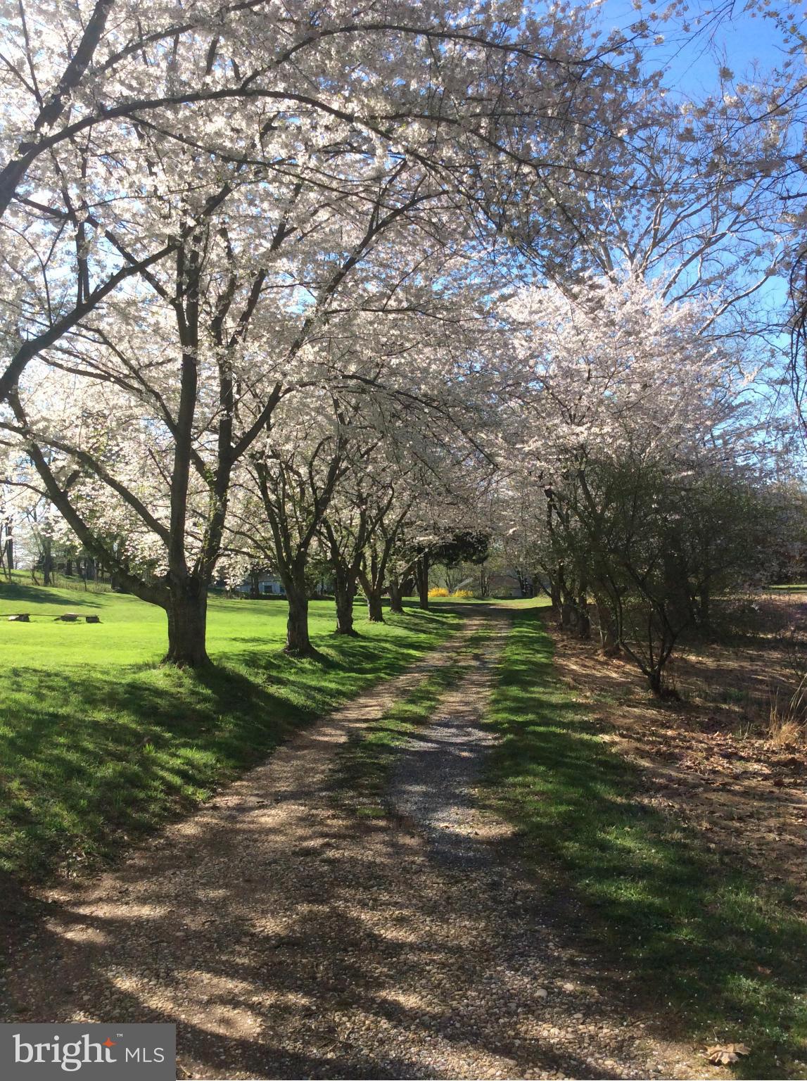 TAMARACK - Residential