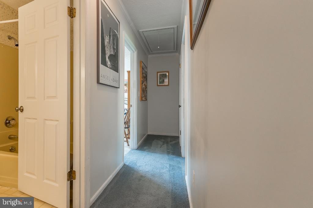 BELMONT ESTATES - Residential