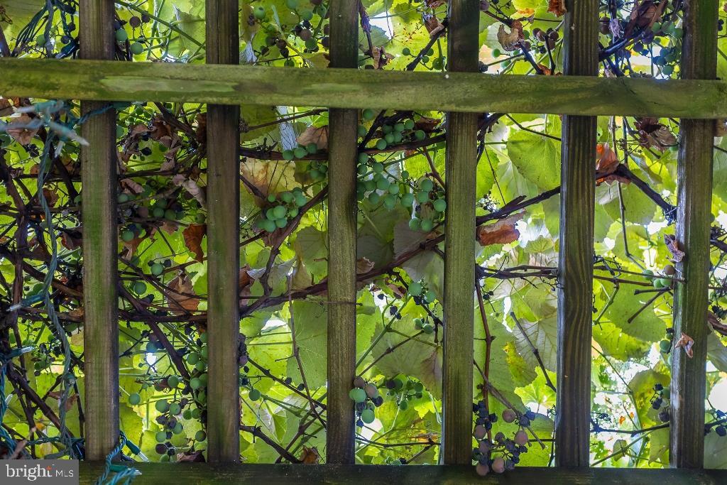 BELMONT ESTATES - Residential