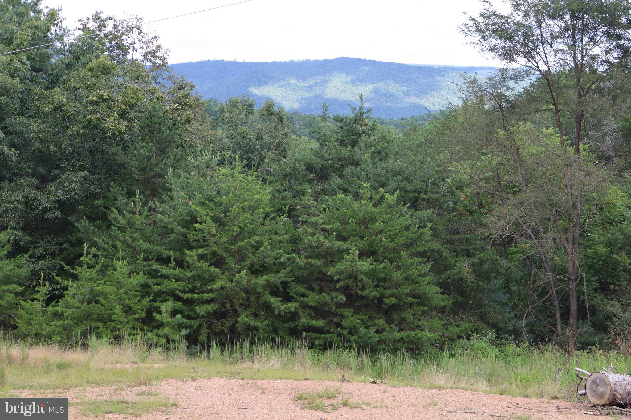 BROAD RUN RD - Residential