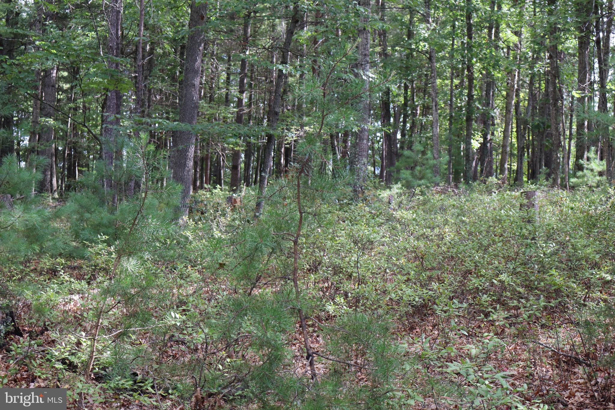 BROAD RUN RD - Residential