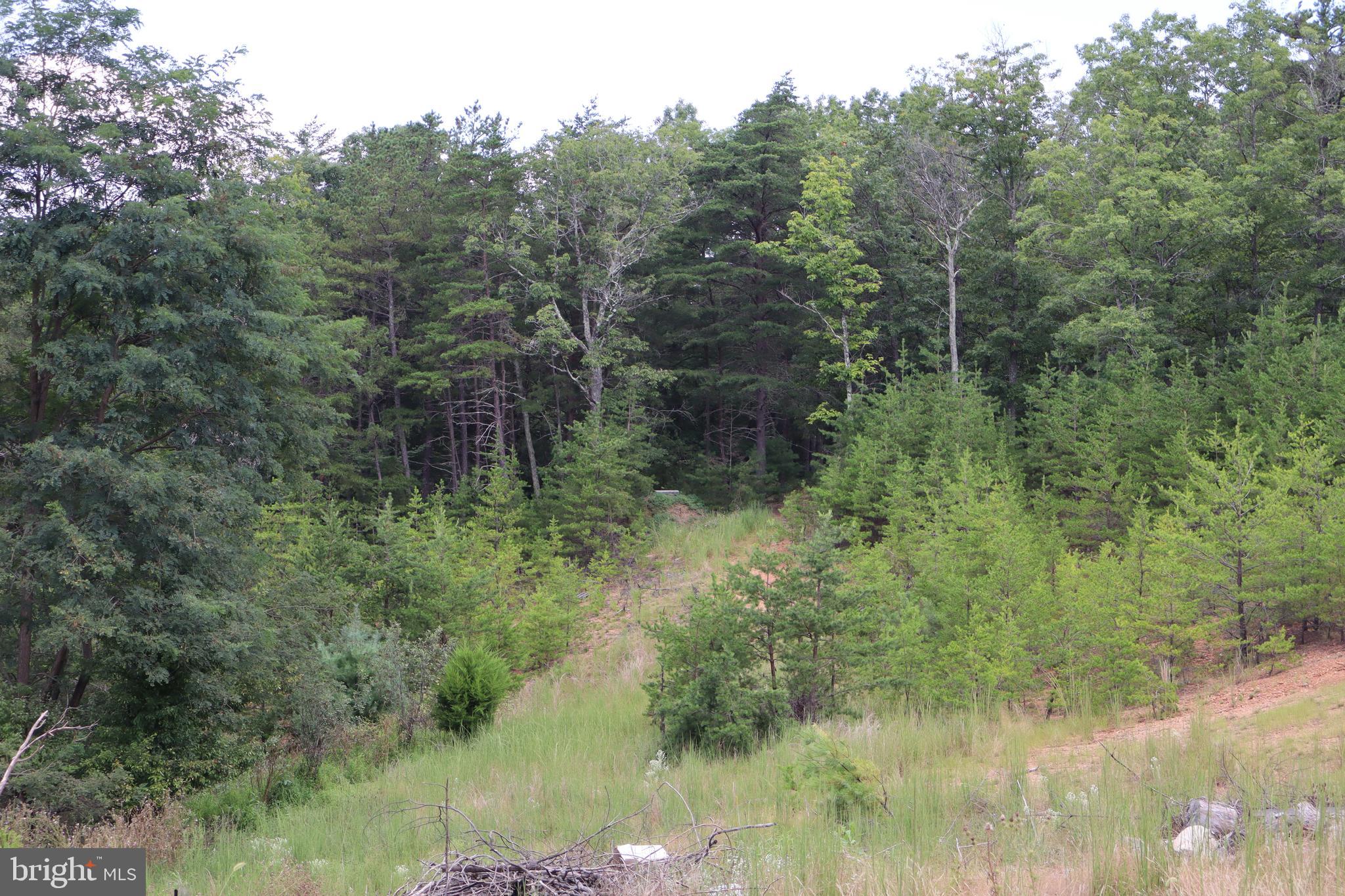 BROAD RUN RD - Residential