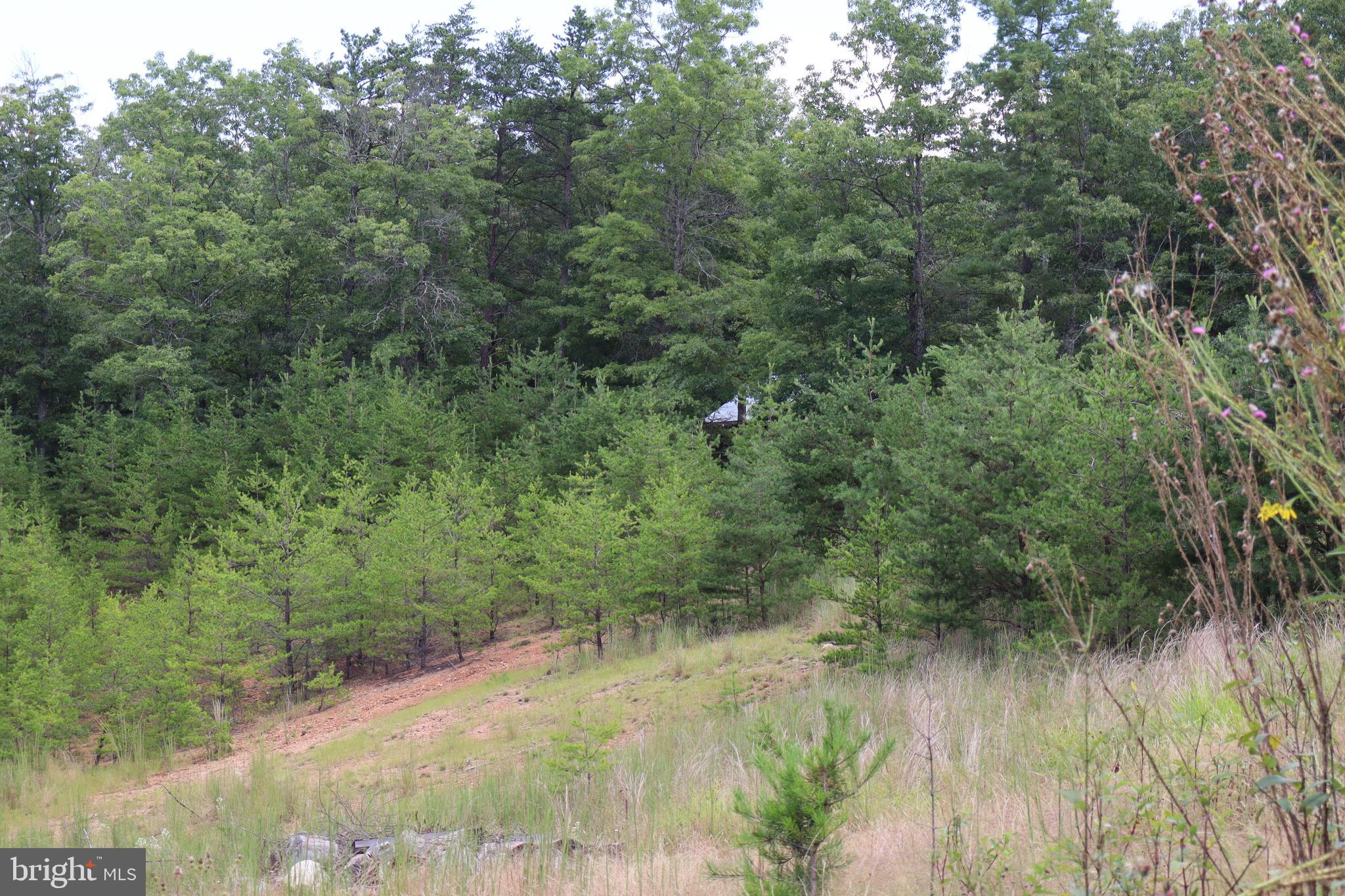 BROAD RUN RD - Residential