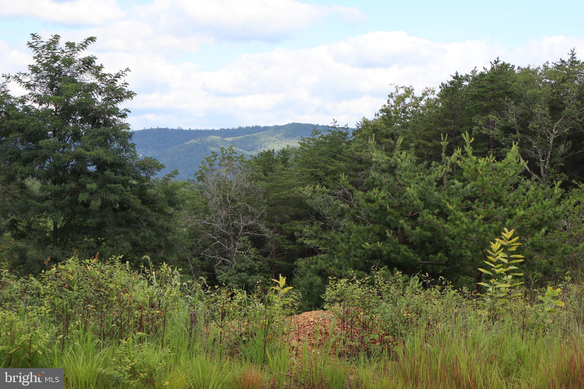 BROAD RUN RD - Residential