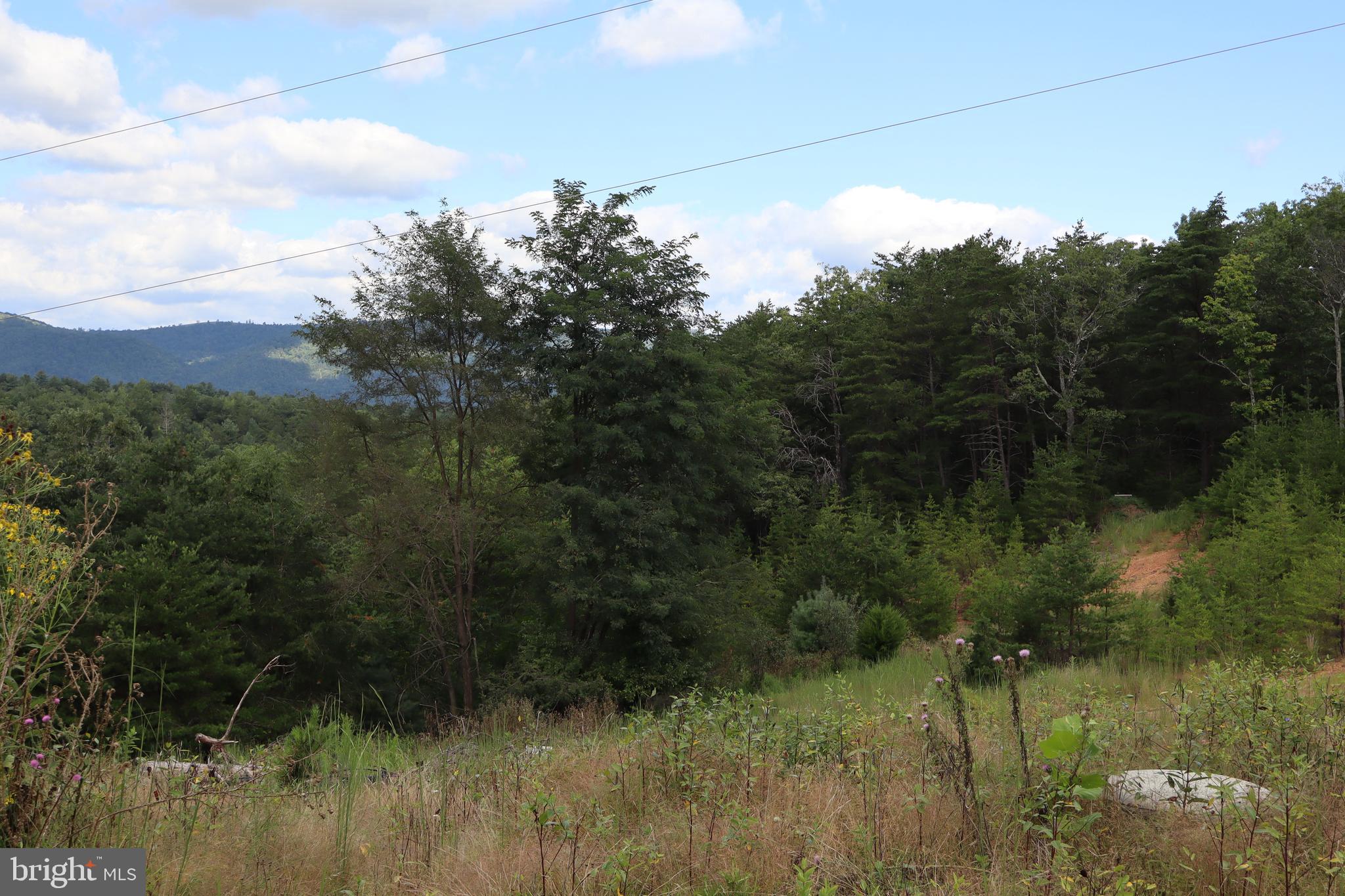 BROAD RUN RD - Residential