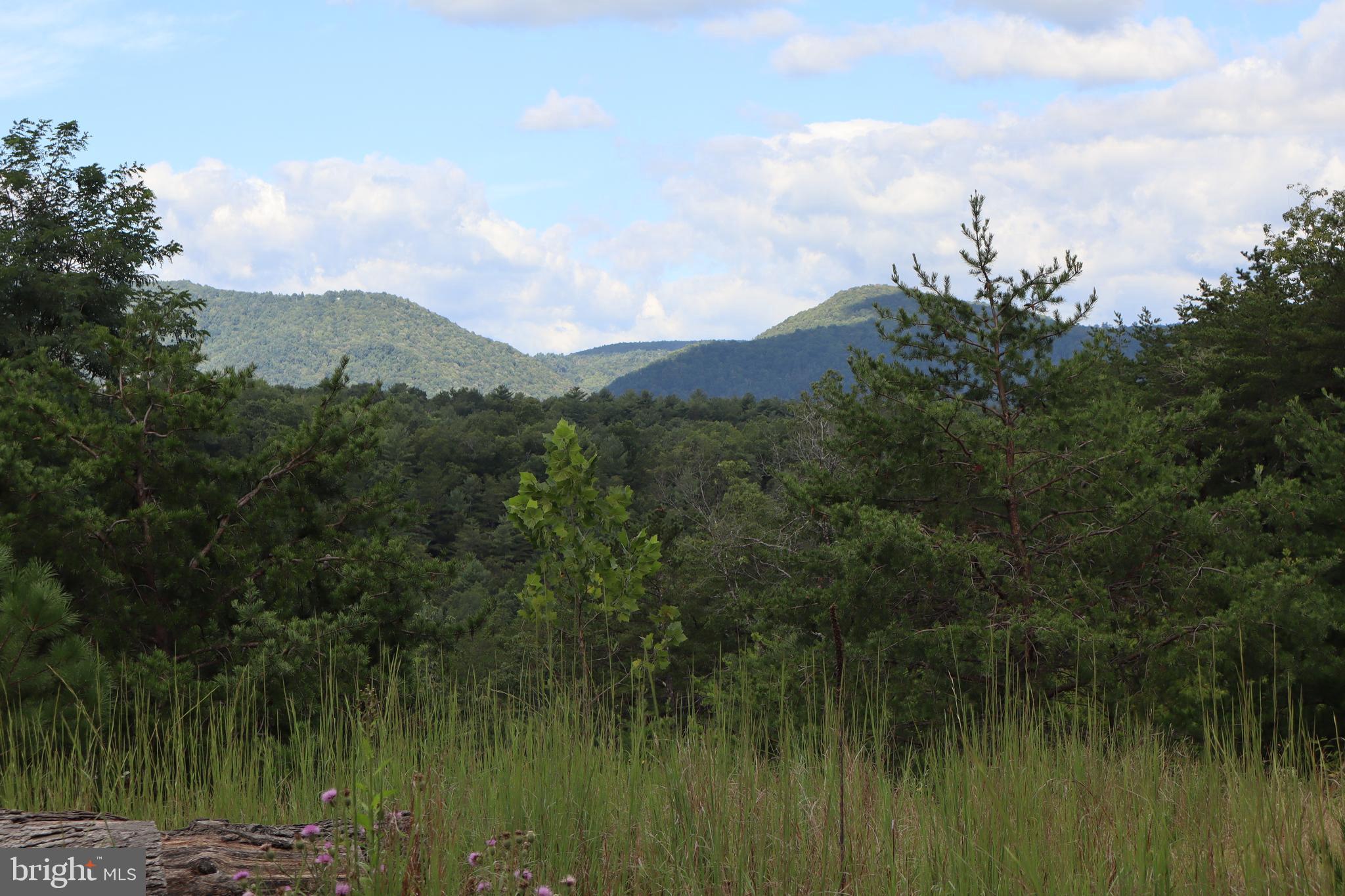 BROAD RUN RD - Residential