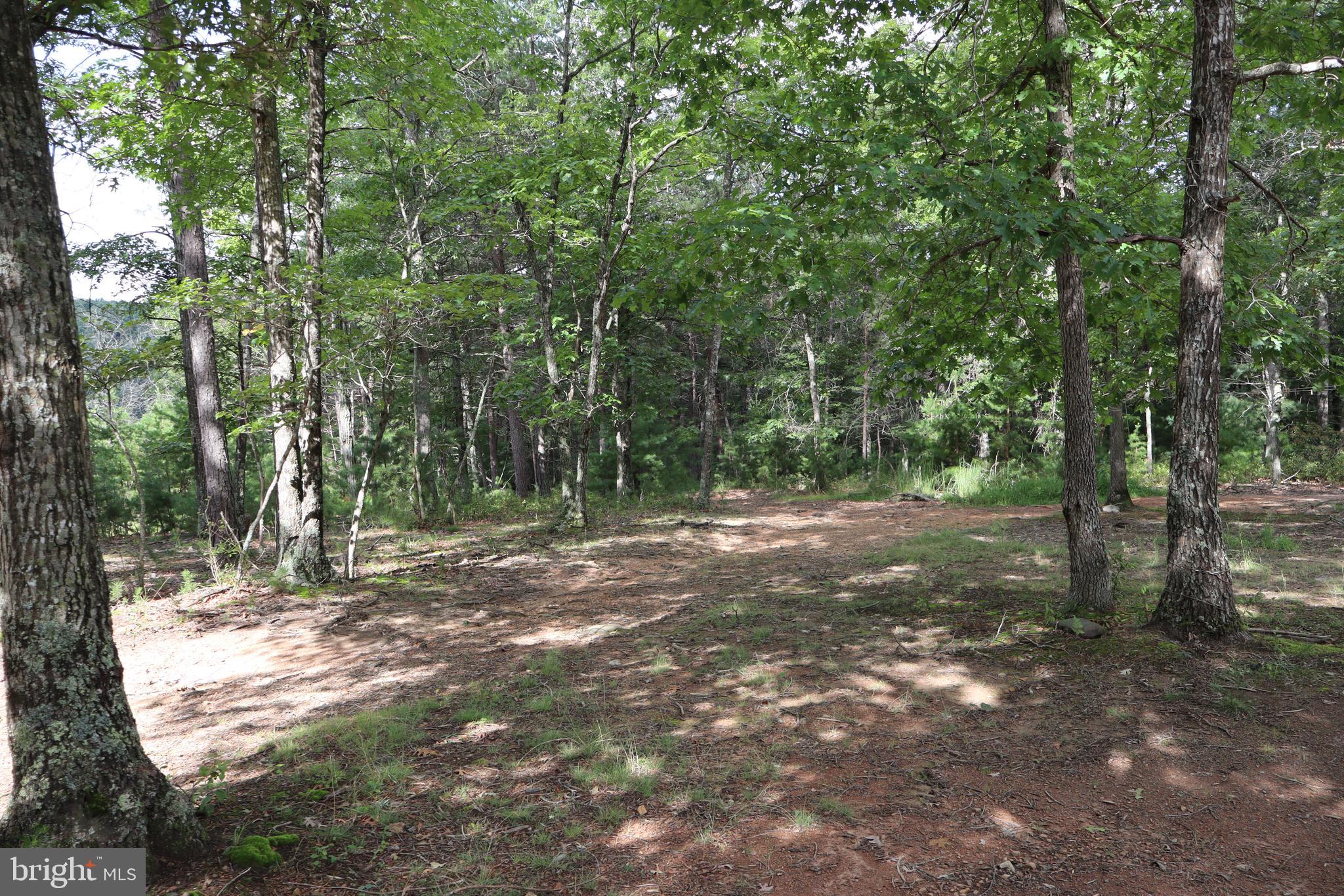 BROAD RUN RD - Residential