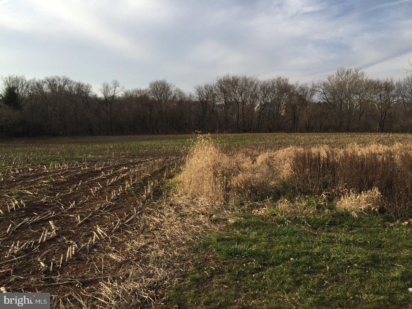 NONE AVAILABLE - Commercial Sale