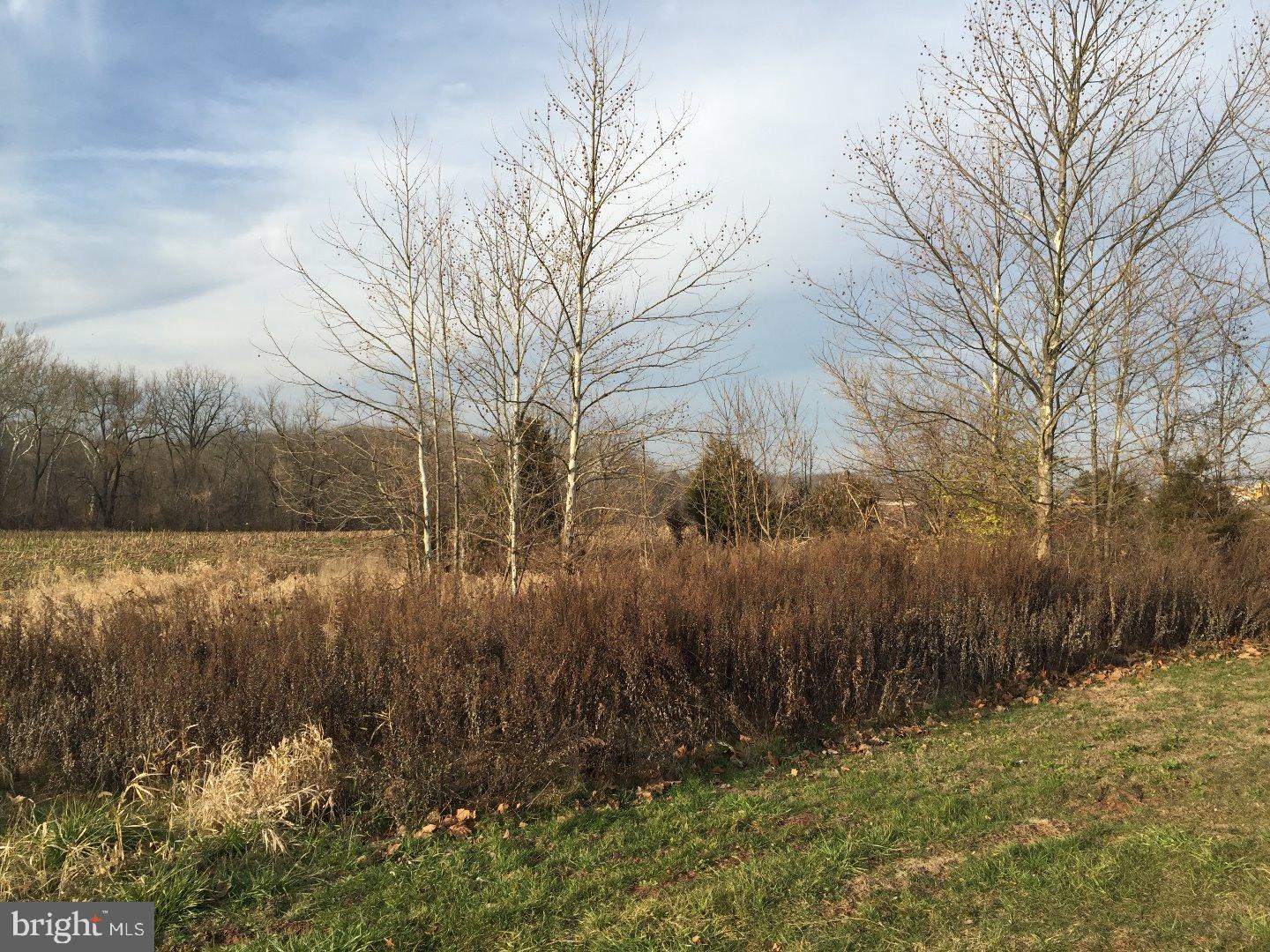 NONE AVAILABLE - Commercial Sale