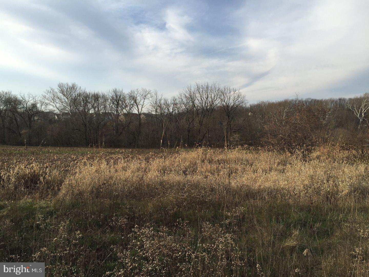 NONE AVAILABLE - Commercial Sale