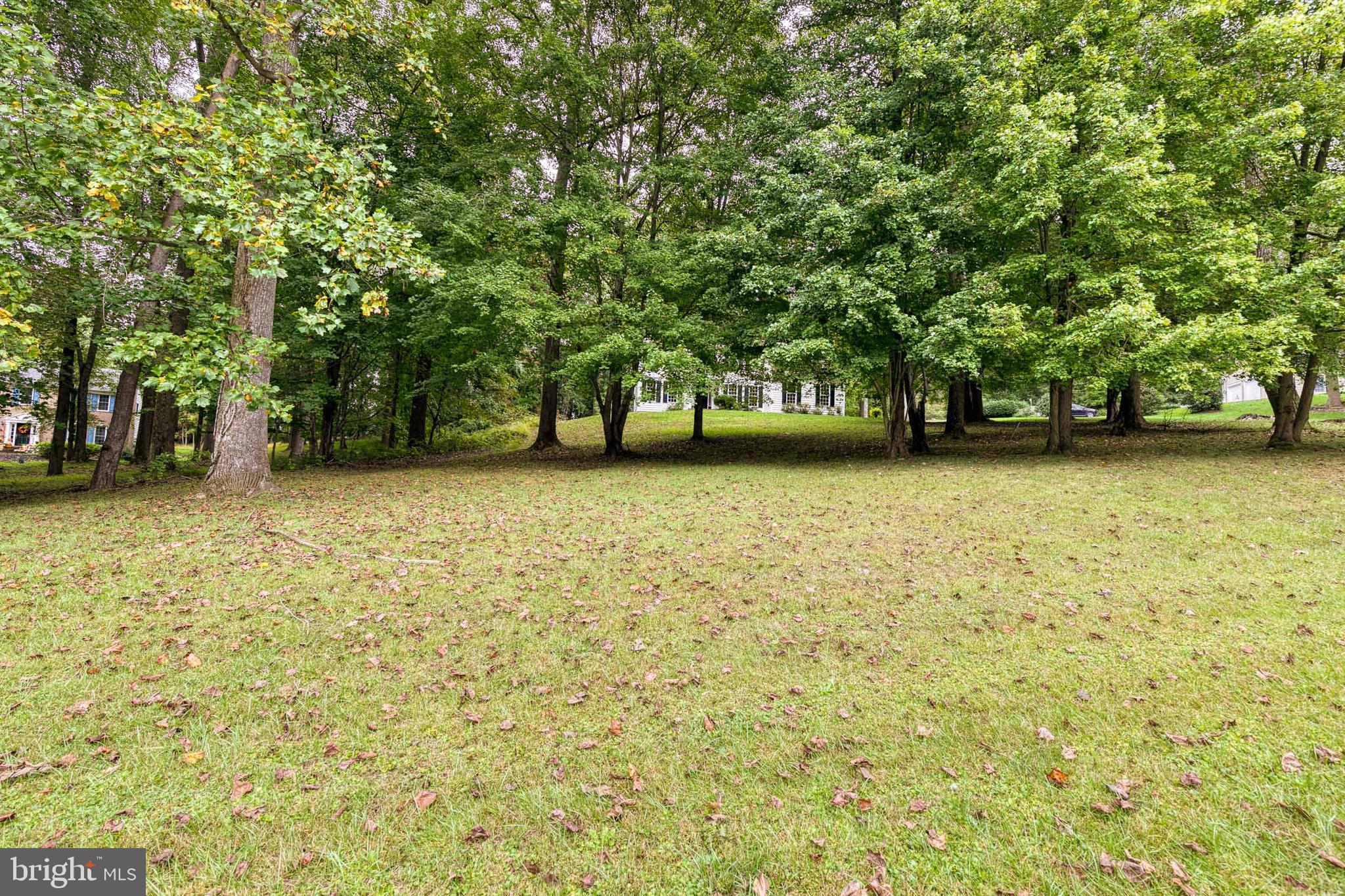 MANOR SPRINGS - Residential