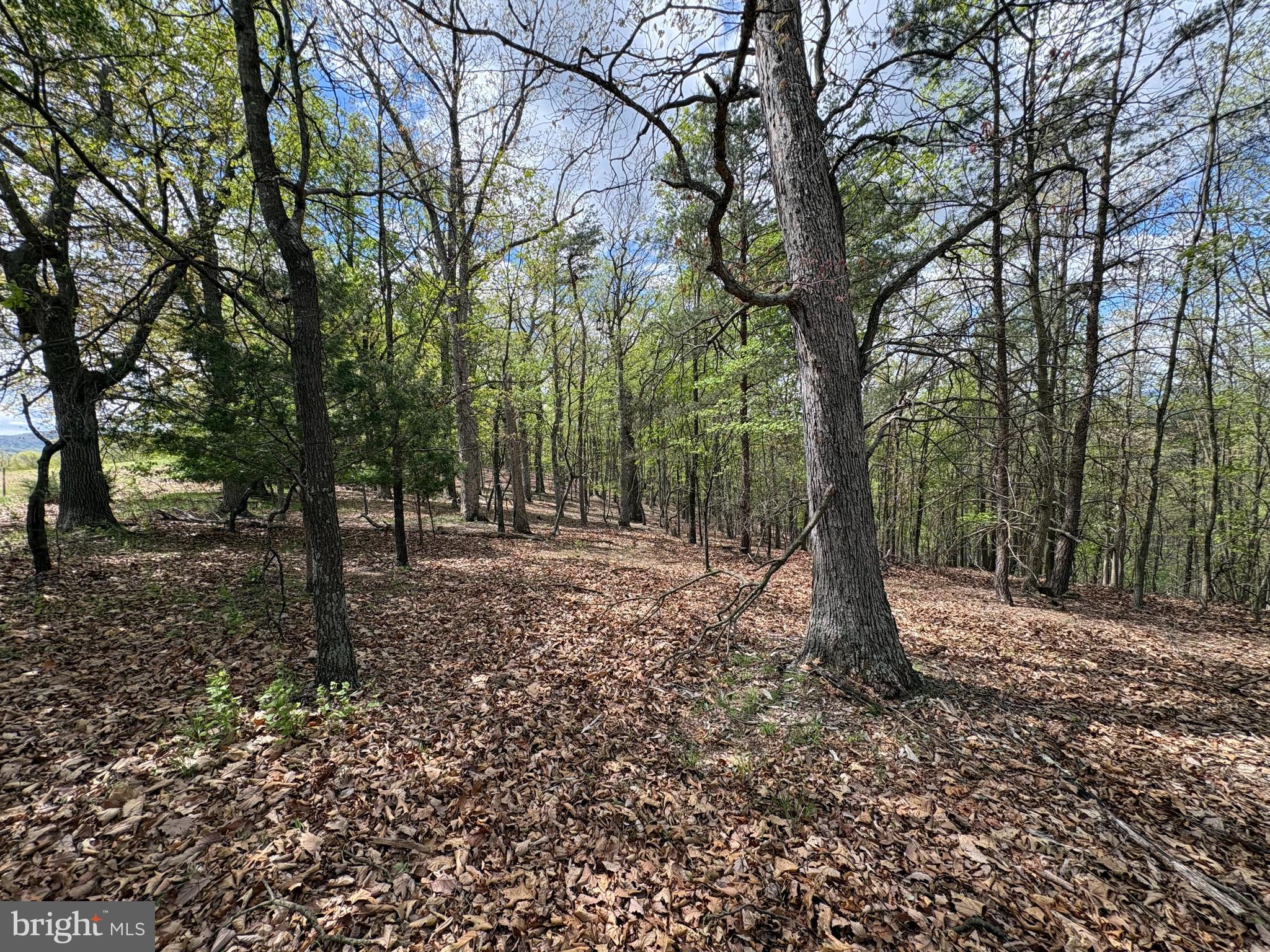 BEAVER RUN - Land