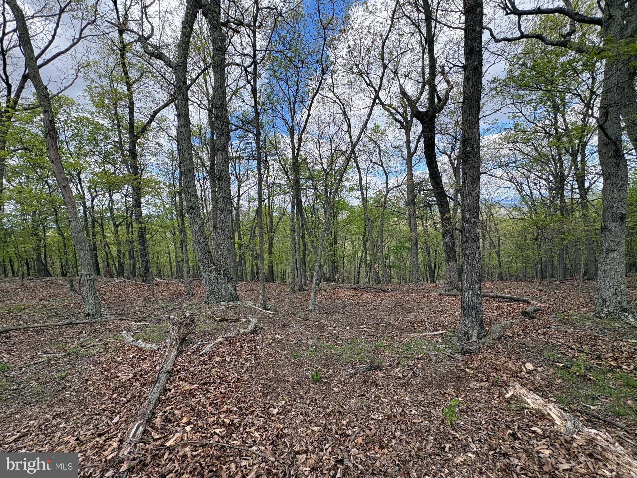BEAVER RUN - Land