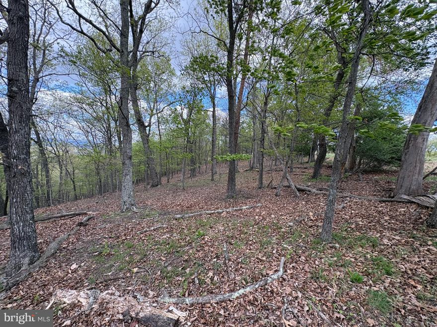 This mountain tract has the kind of setting that gets your attention right away. With strong south- and west-facing views, it offers the potential for big sunsets, long-range mountain scenery, and a homesite that could turn into something special. Whether you are looking for a hard-to-find getaway, a hunting basecamp, or a full-time place in the mountains, this property gives you a real opportunity to build it the way you want. Access is solid, with a gravel surface road leading to a driveway that is already installed to the beginning of the build site. That gives the next owner a meaningful head start. Electricity is available at the property boundary, which makes the tract even more practical and ready for future improvement. Much of the early groundwork has already been done. The next step is simply taking advantage of what is here. The area is well known for strong hunting, and the South Branch of the Potomac River is nearby for fishing and other outdoor recreation. That mix of privacy, usable ground, and recreation is what a lot of buyers are after, and it is getting tougher to find. Located within an easy two-hour drive of Washington, D.C., about an hour from Winchester, Virginia, and convenient to the I-81 corridor, this property offers the kind of privacy and mountain character that still keeps you within reach of what you need. If you have been waiting for a mountain tract with real view potential and a strong start toward a future build, this one deserves a serious look.