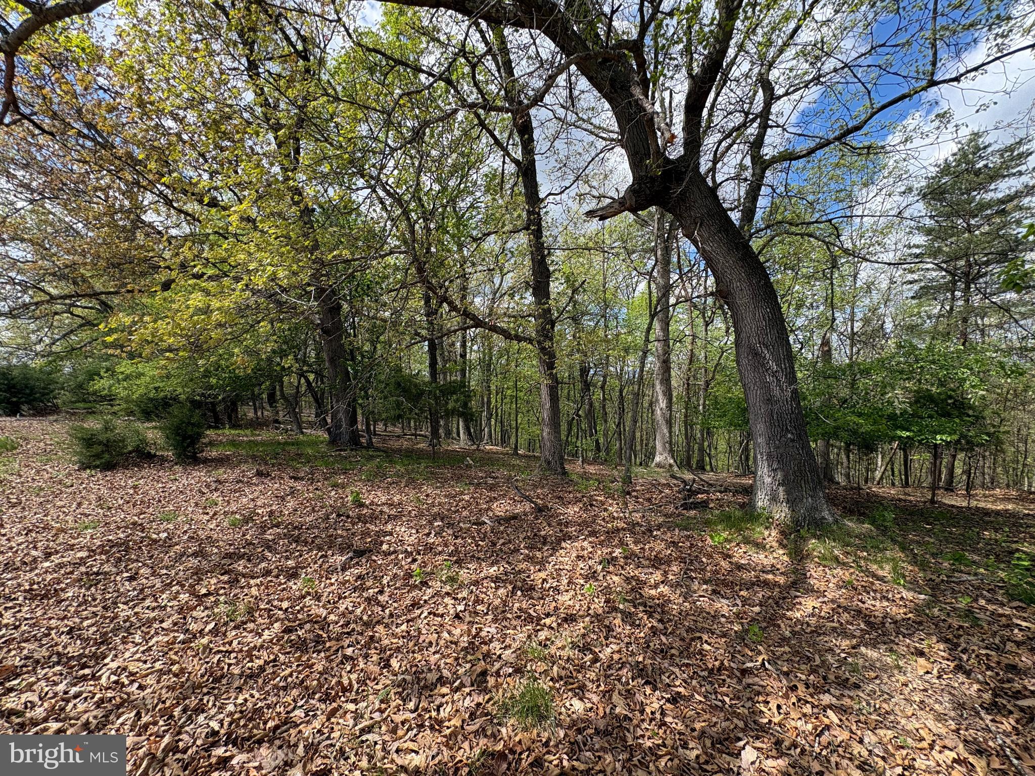BEAVER RUN - Land