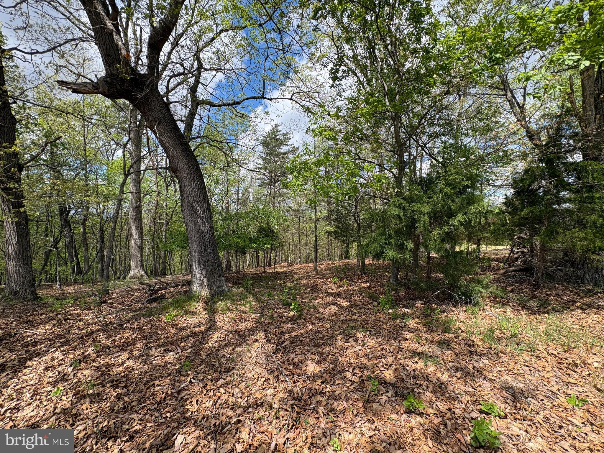 BEAVER RUN - Land