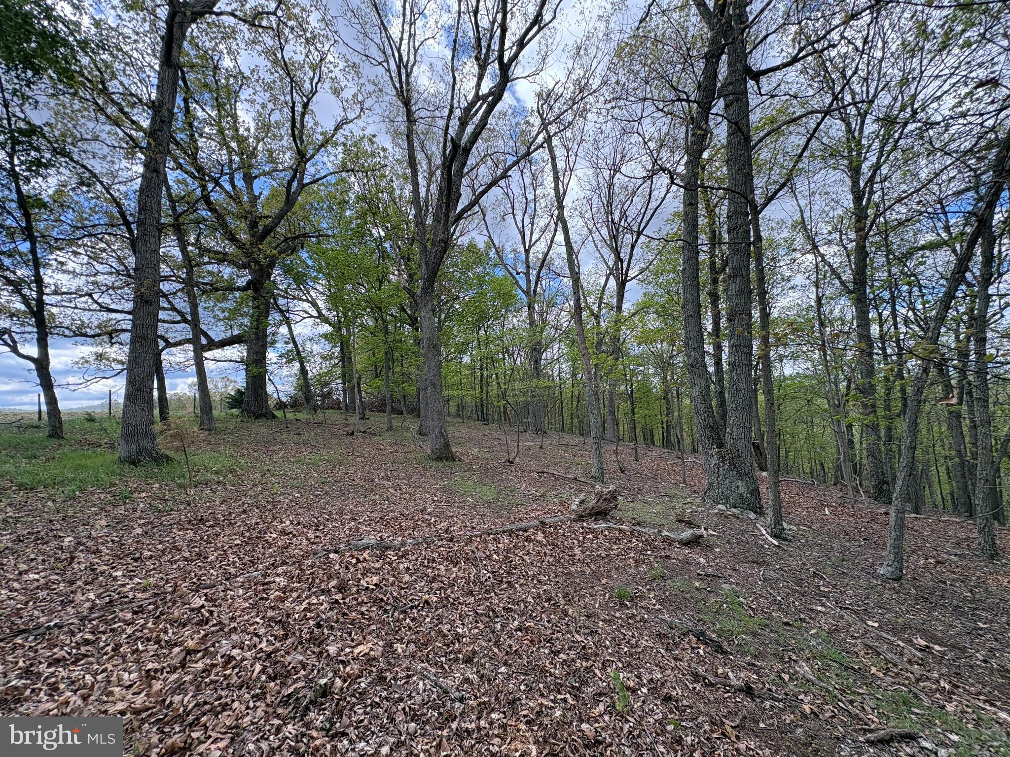 BEAVER RUN - Land