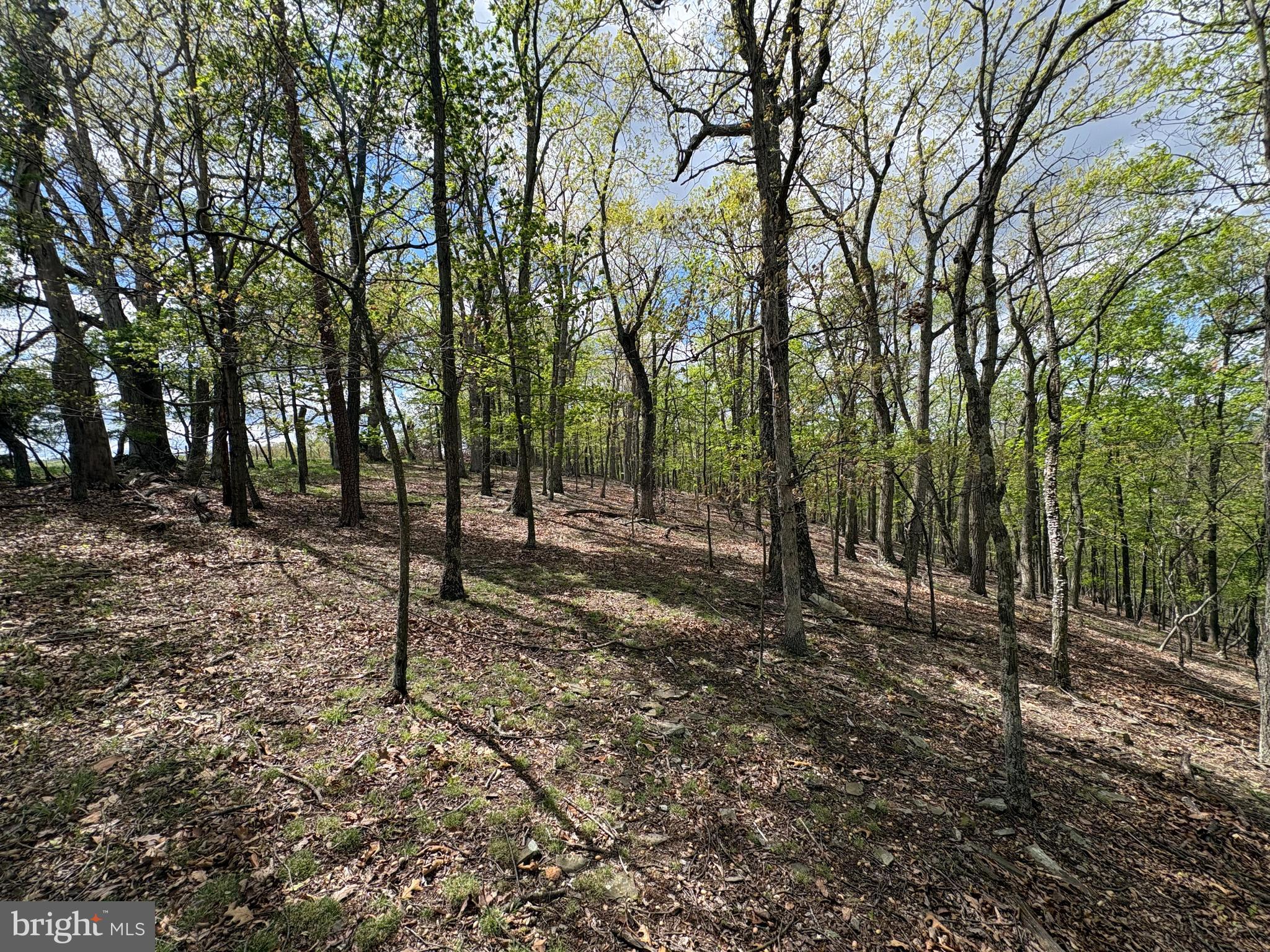 BEAVER RUN - Land