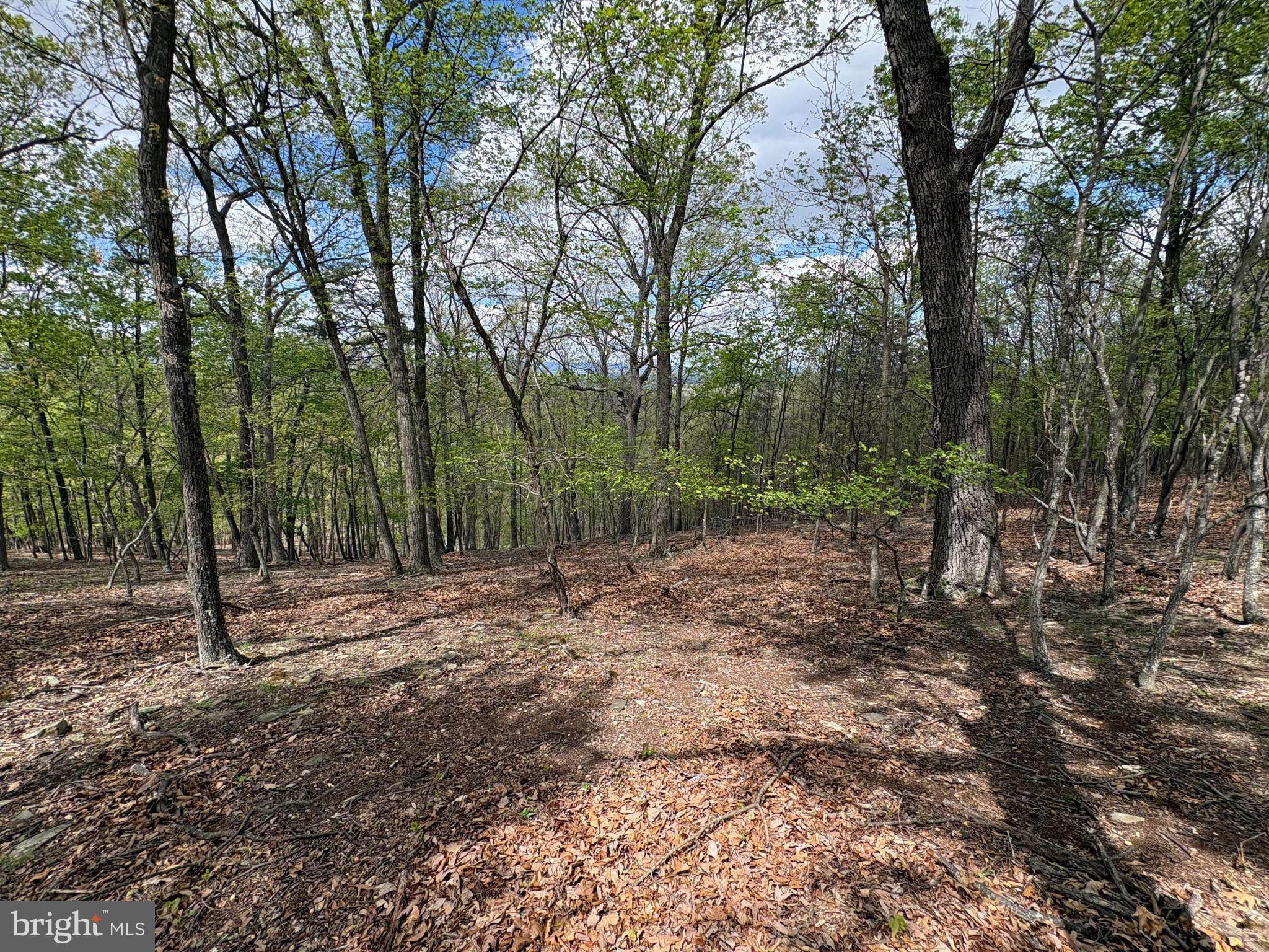 BEAVER RUN - Land