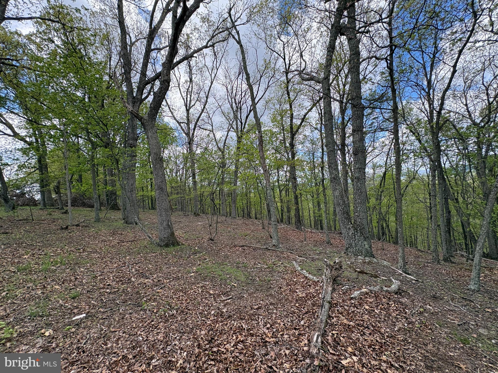 BEAVER RUN - Land