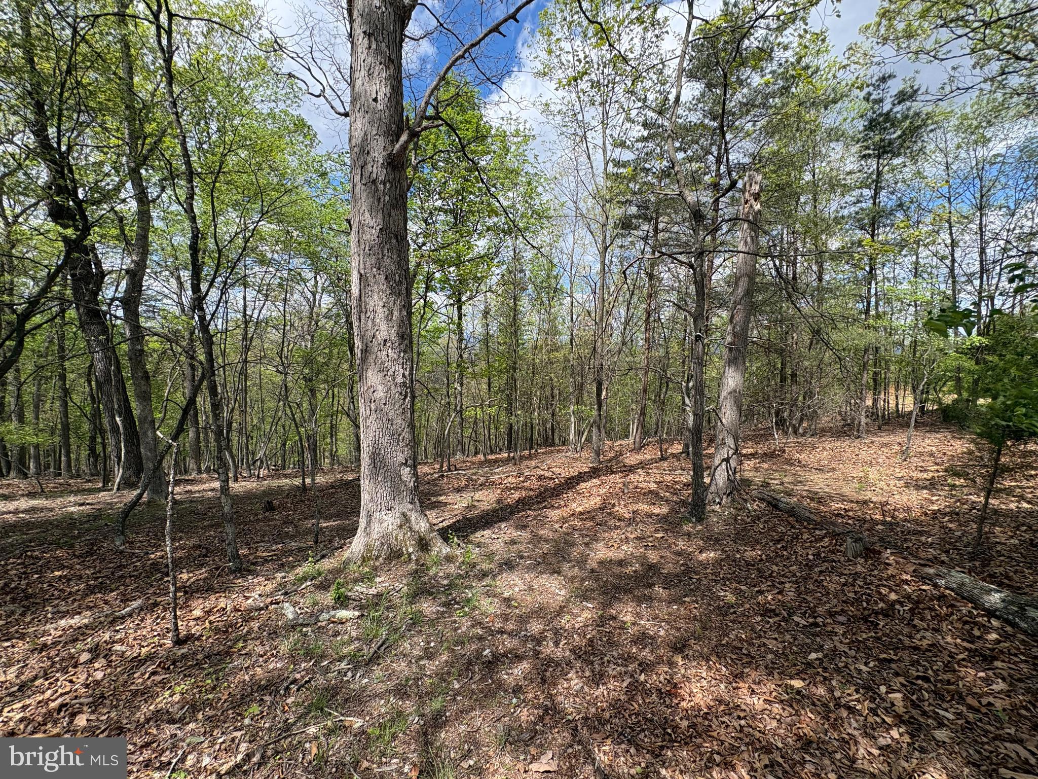 BEAVER RUN - Land