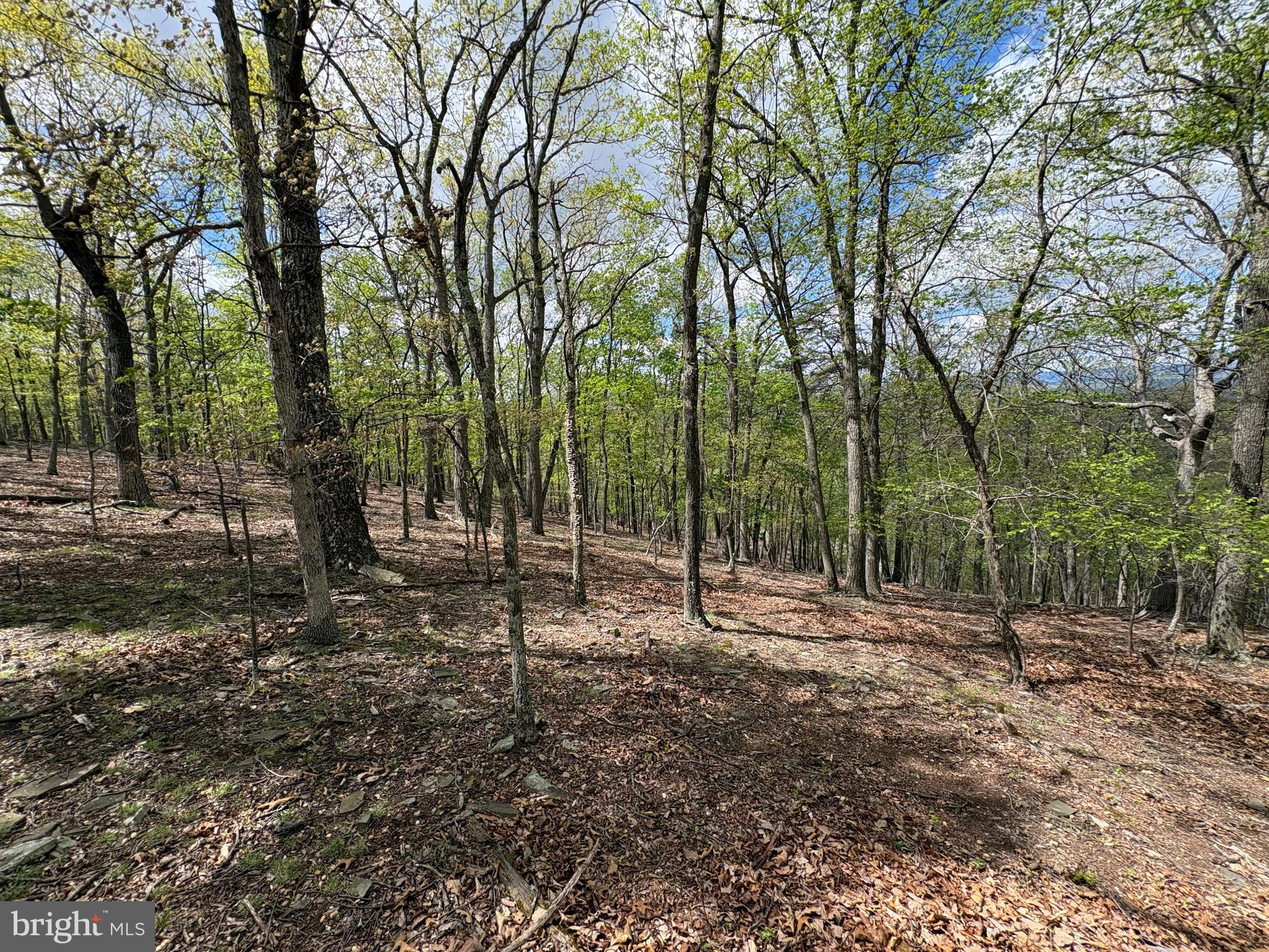 BEAVER RUN - Land