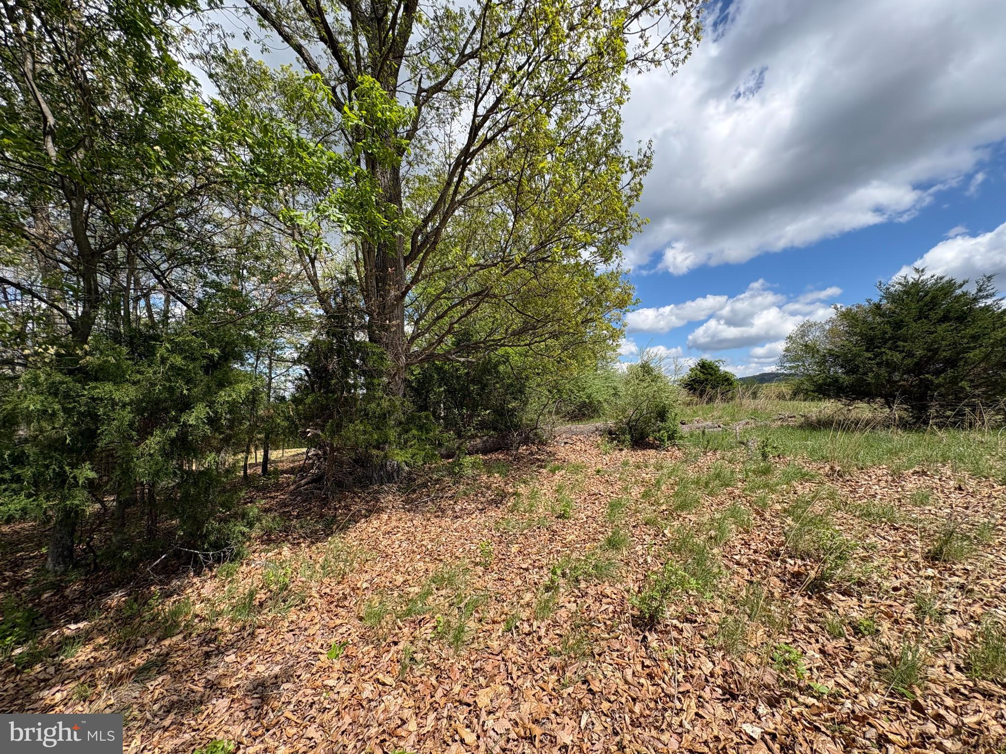 BEAVER RUN - Land