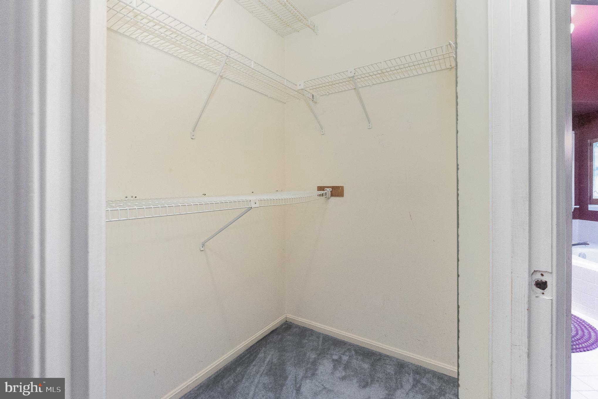 LYNS FOREST - Residential