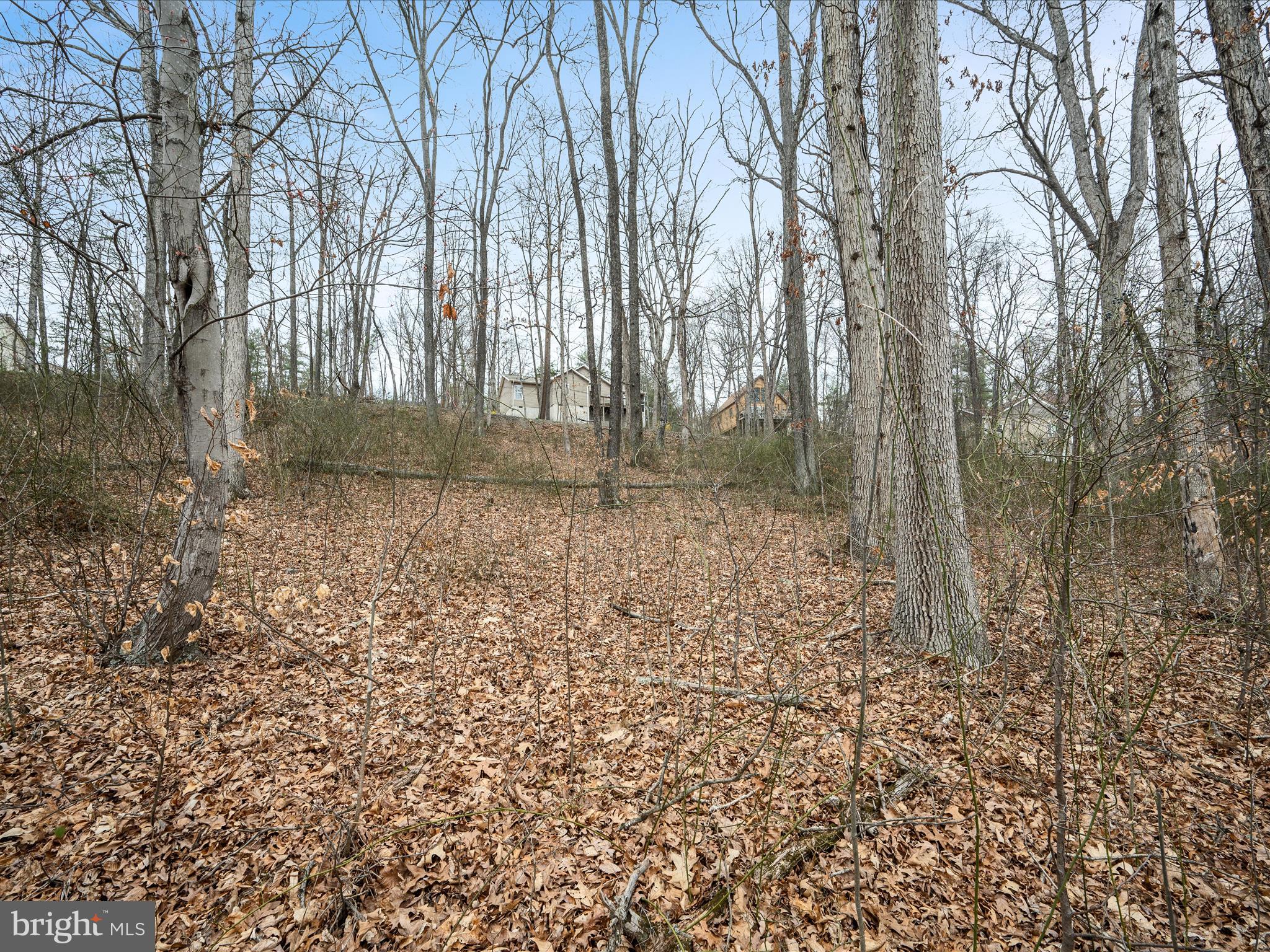 BRYCE  MOUNTAIN  RESORT - Land