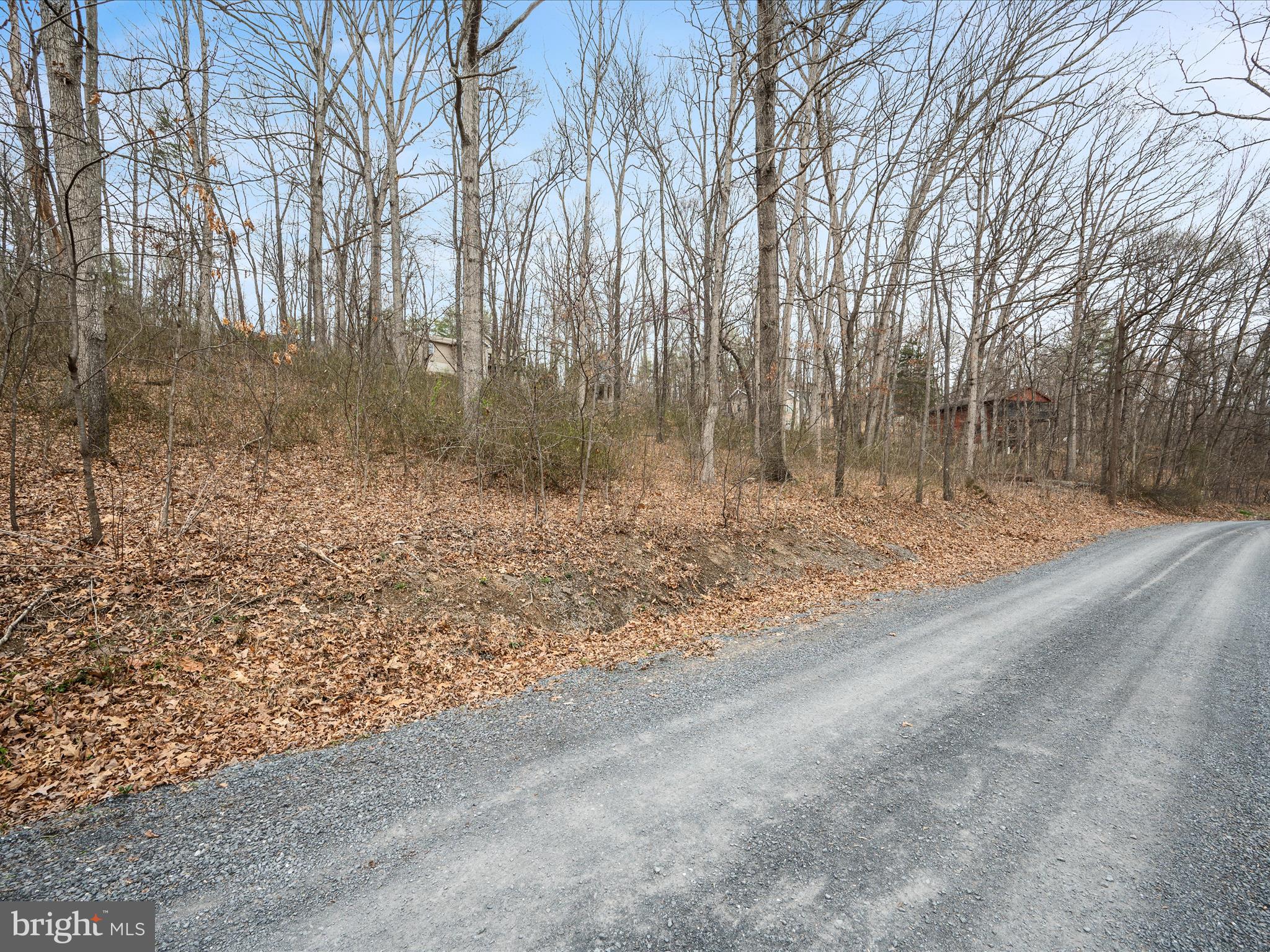 BRYCE  MOUNTAIN  RESORT - Land