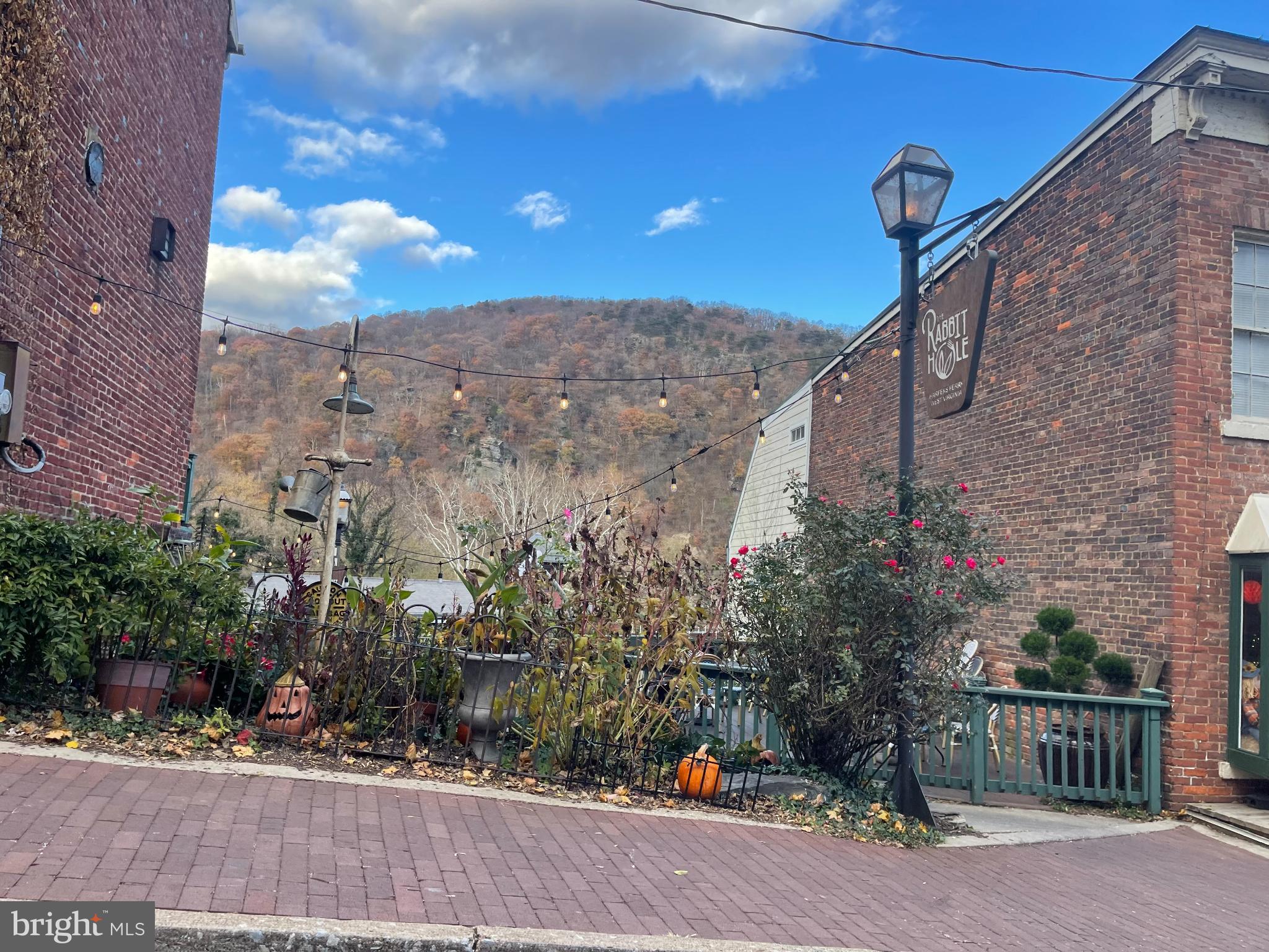 BOLIVAR ESTATES - Residential Lease